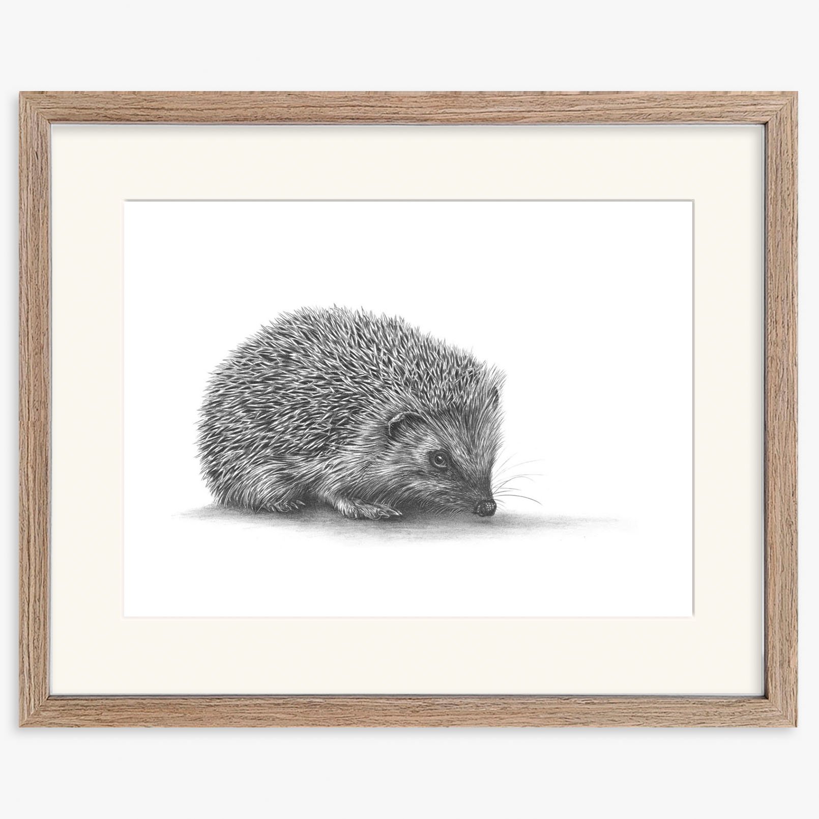 hedgehog2_walnut.jpg