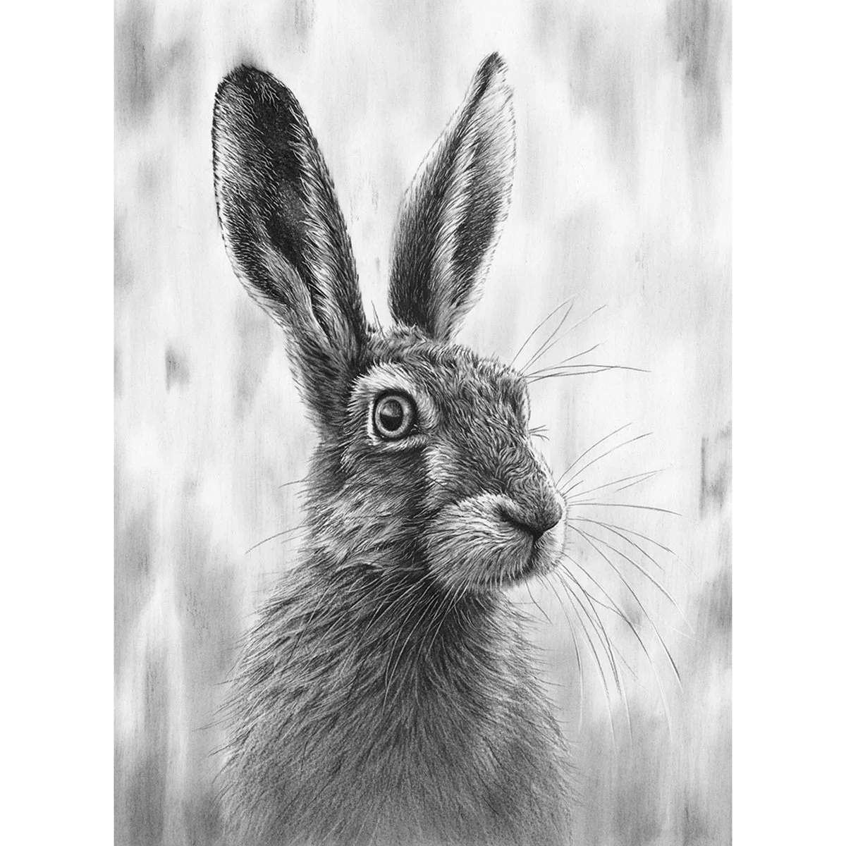 "Brown Hare V" - Original Charcoal Drawing