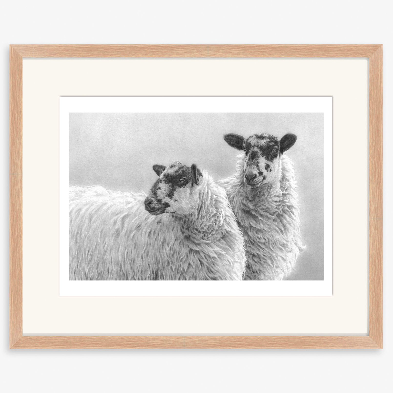 Mules_sheep_oak.jpg