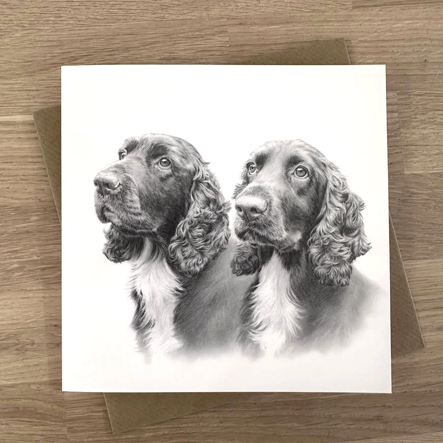 field_spaniels.jpg