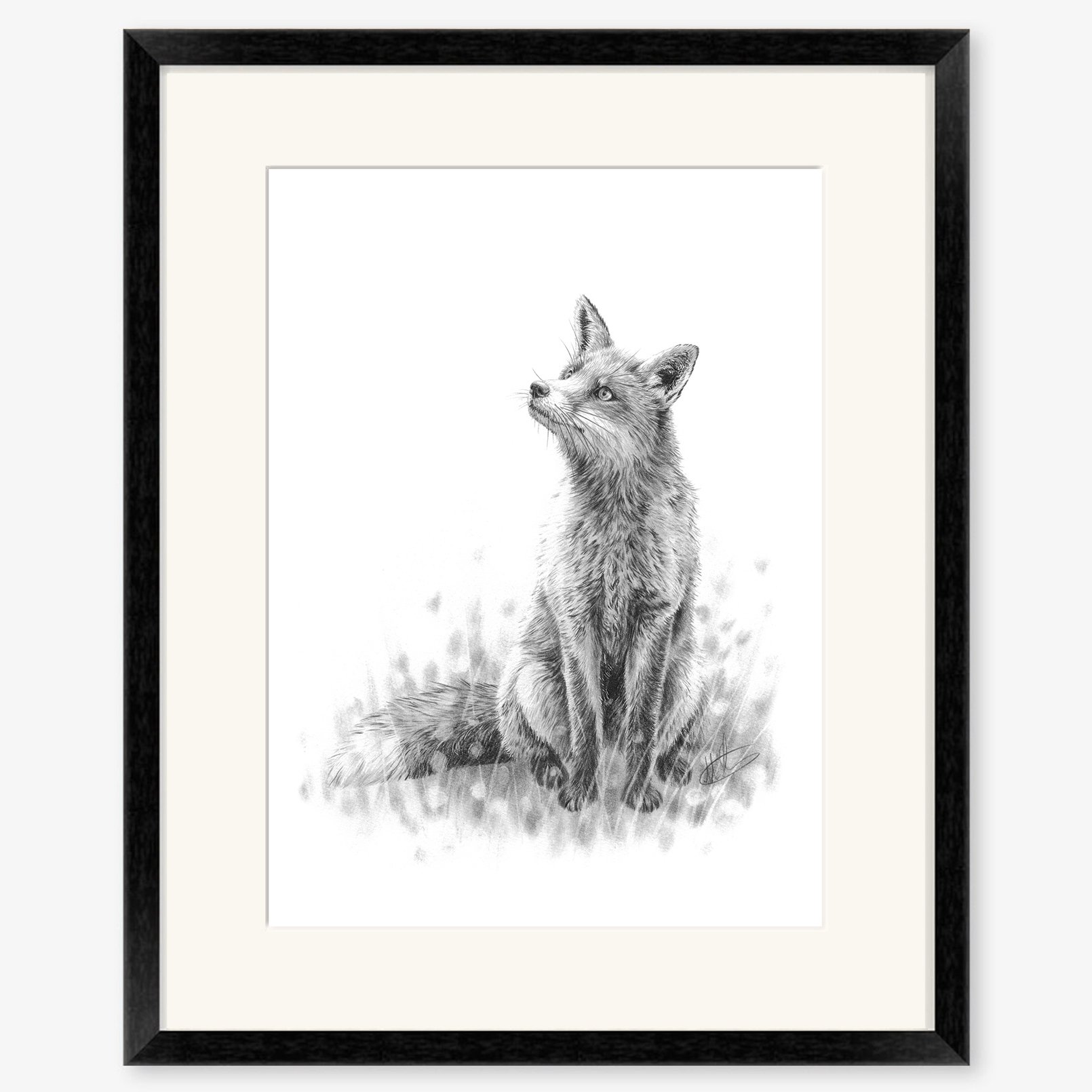 fox_sitting_black.jpg