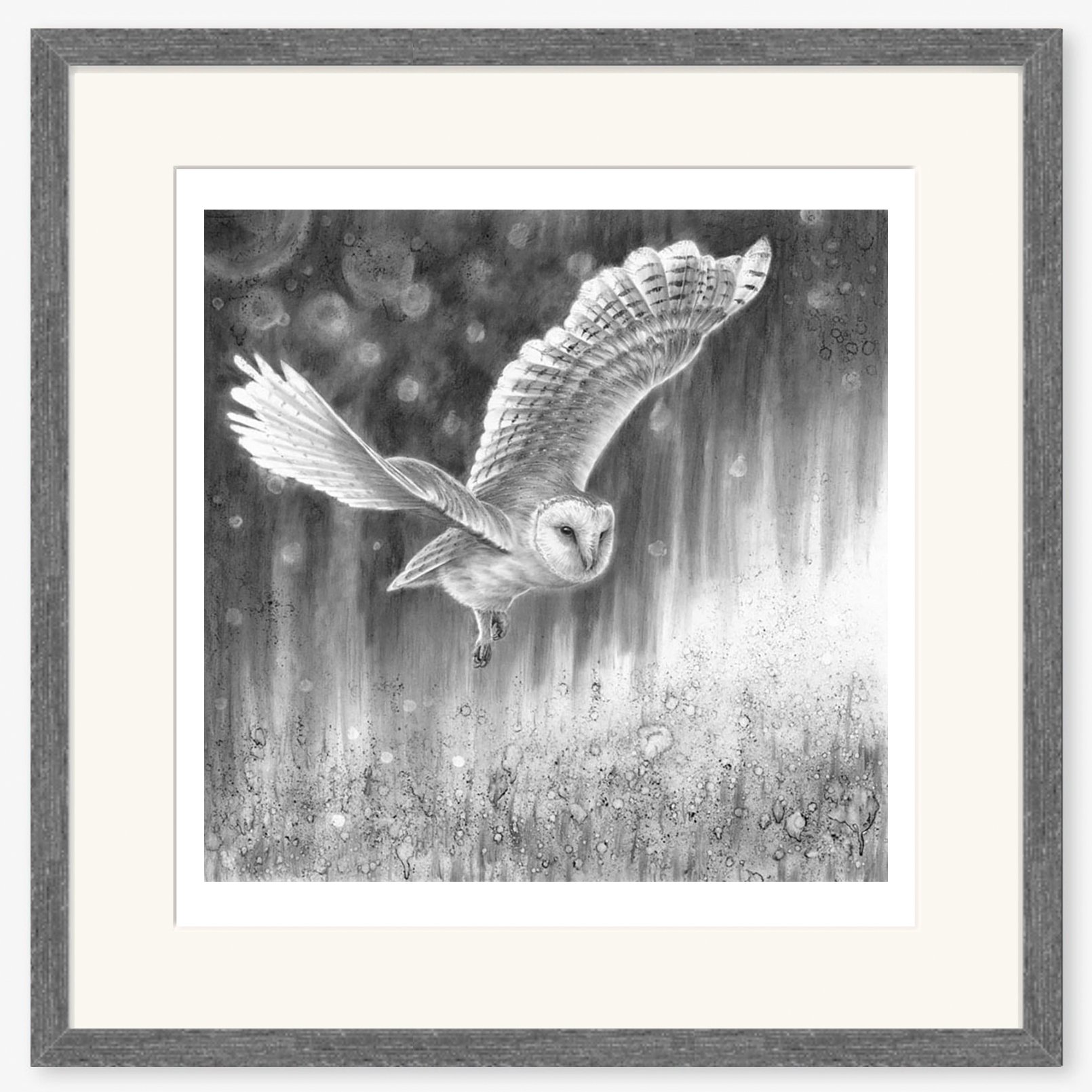 barn_owl_at_night-1_charcoal.jpg