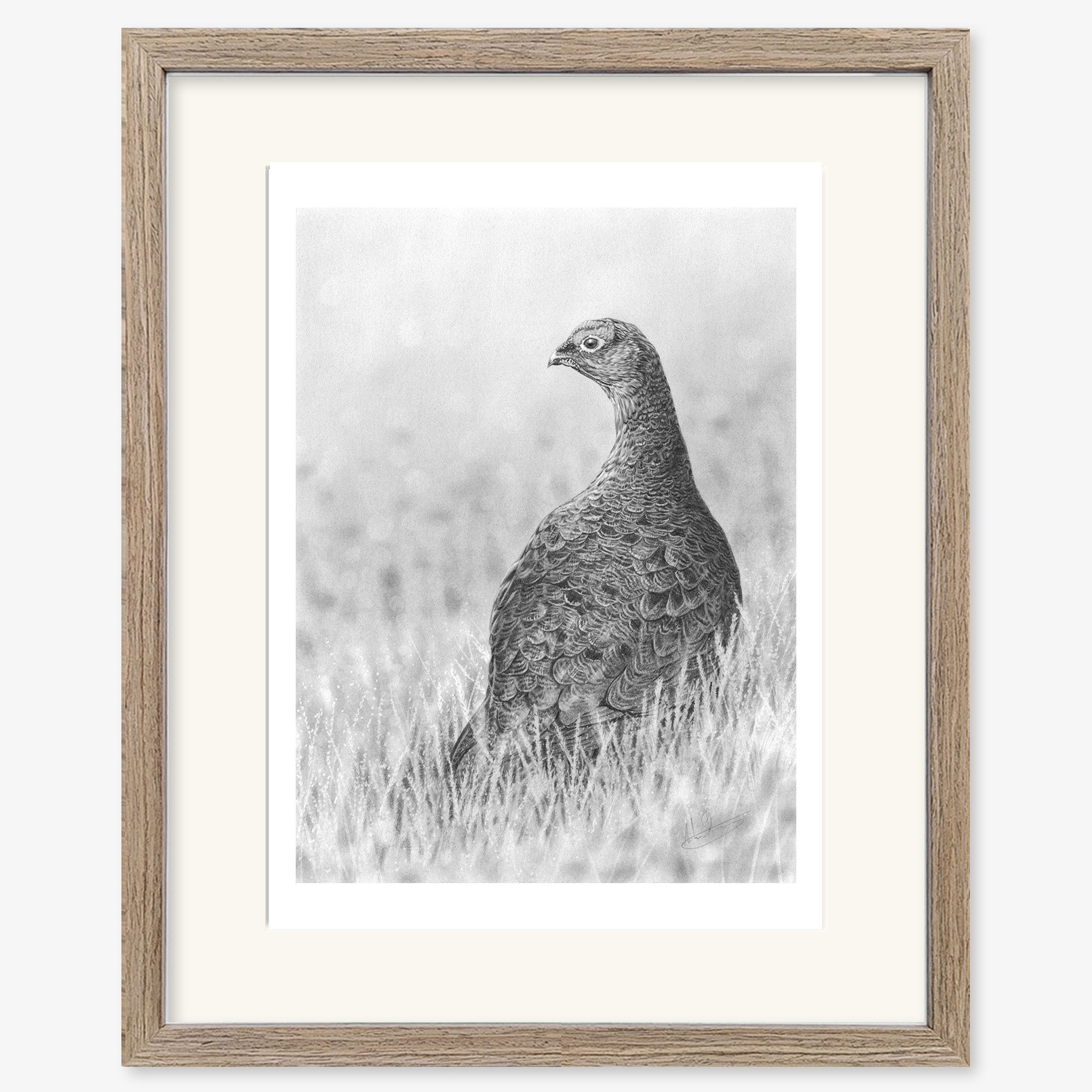 red_grouse_walnut.jpg