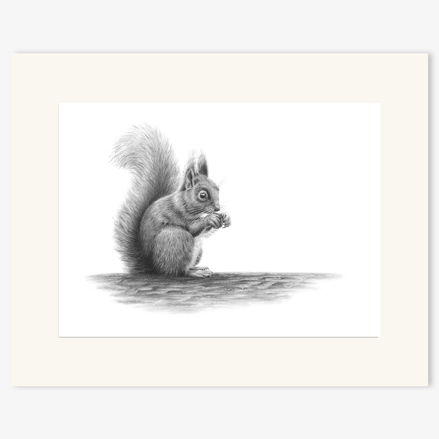 red_squirrel_mounted.jpg