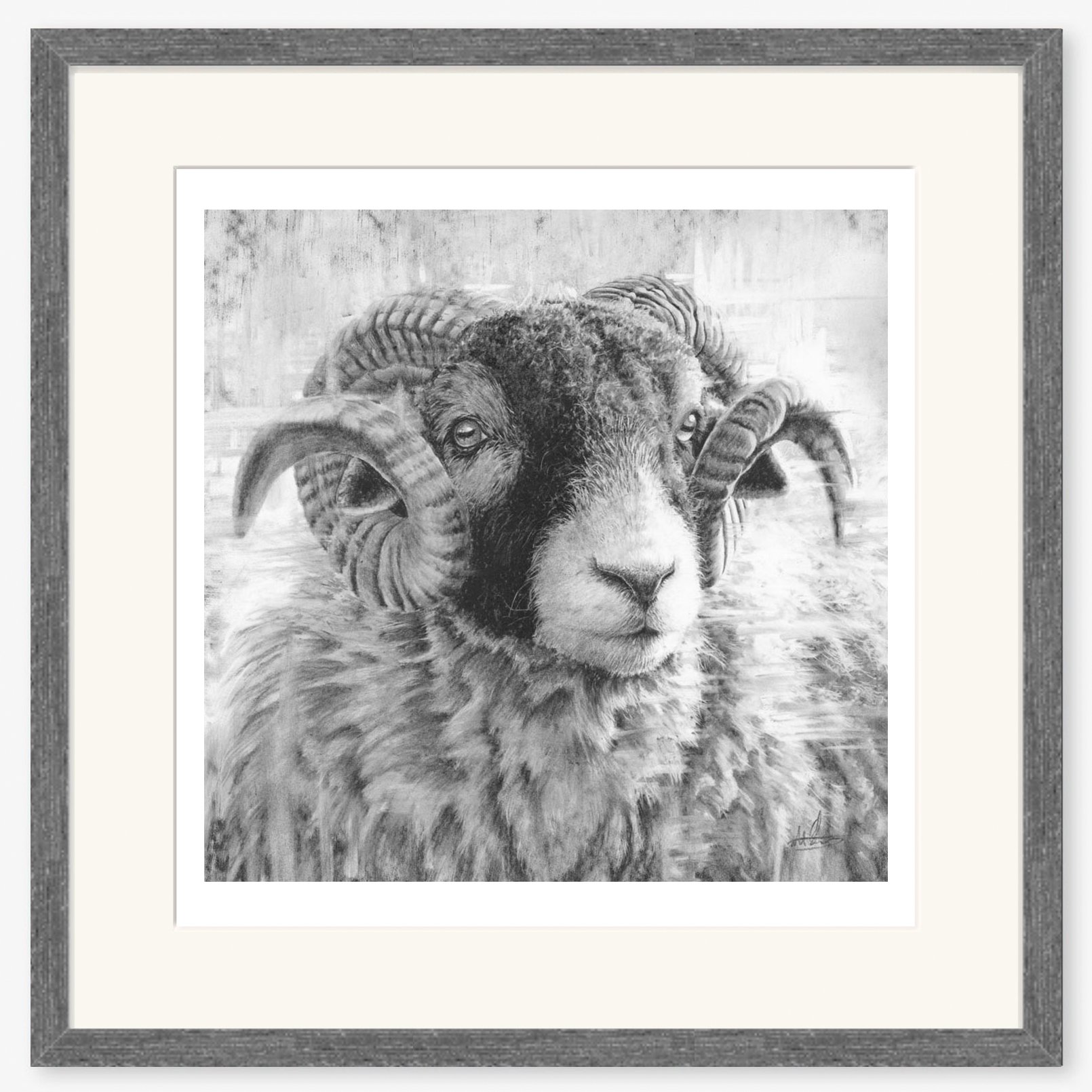 swaledale-tup-iii_charcoal.jpg