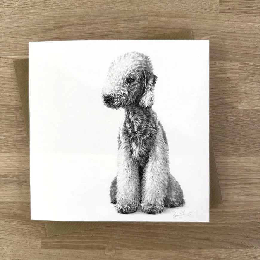 Bedlington_terrier.jpg