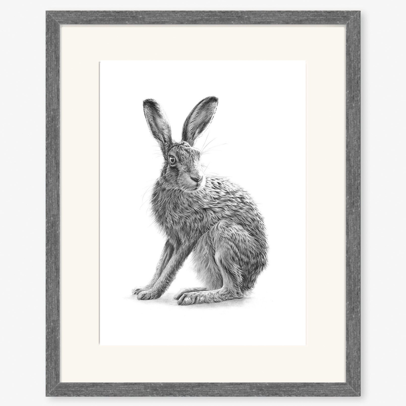 Hare_sitting_II copy_charcoal.jpg