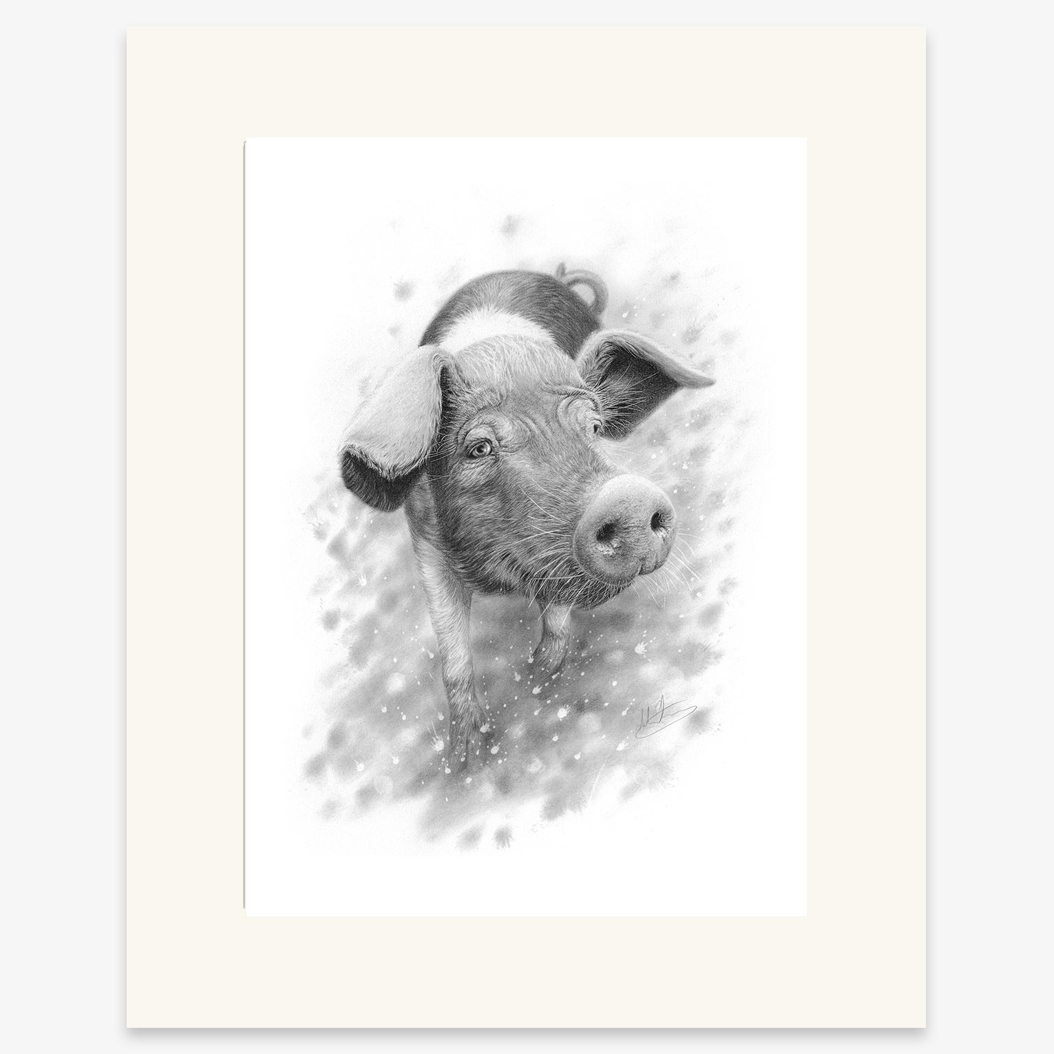 saddleback_pig_mounted.jpg