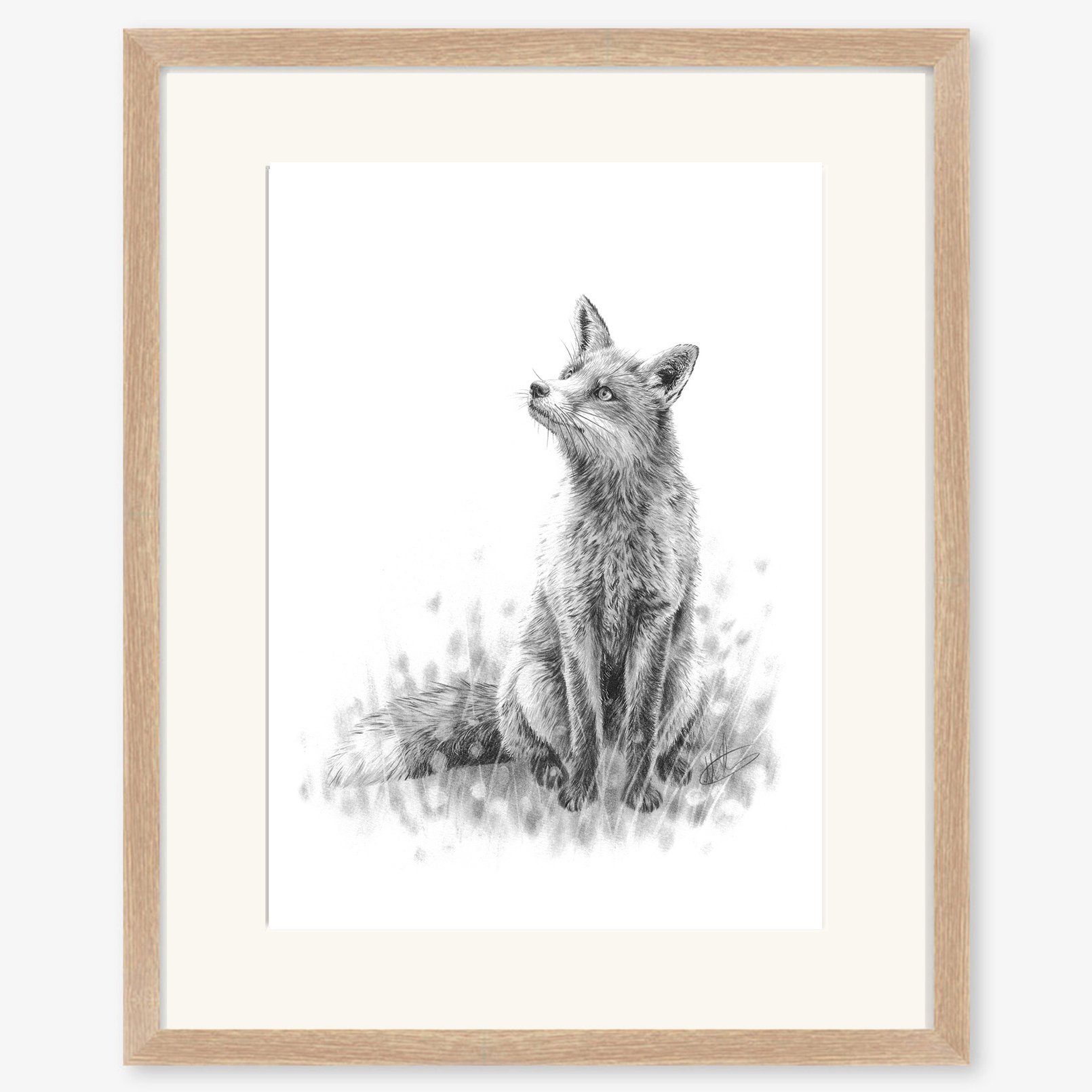fox_sitting_oak.jpg