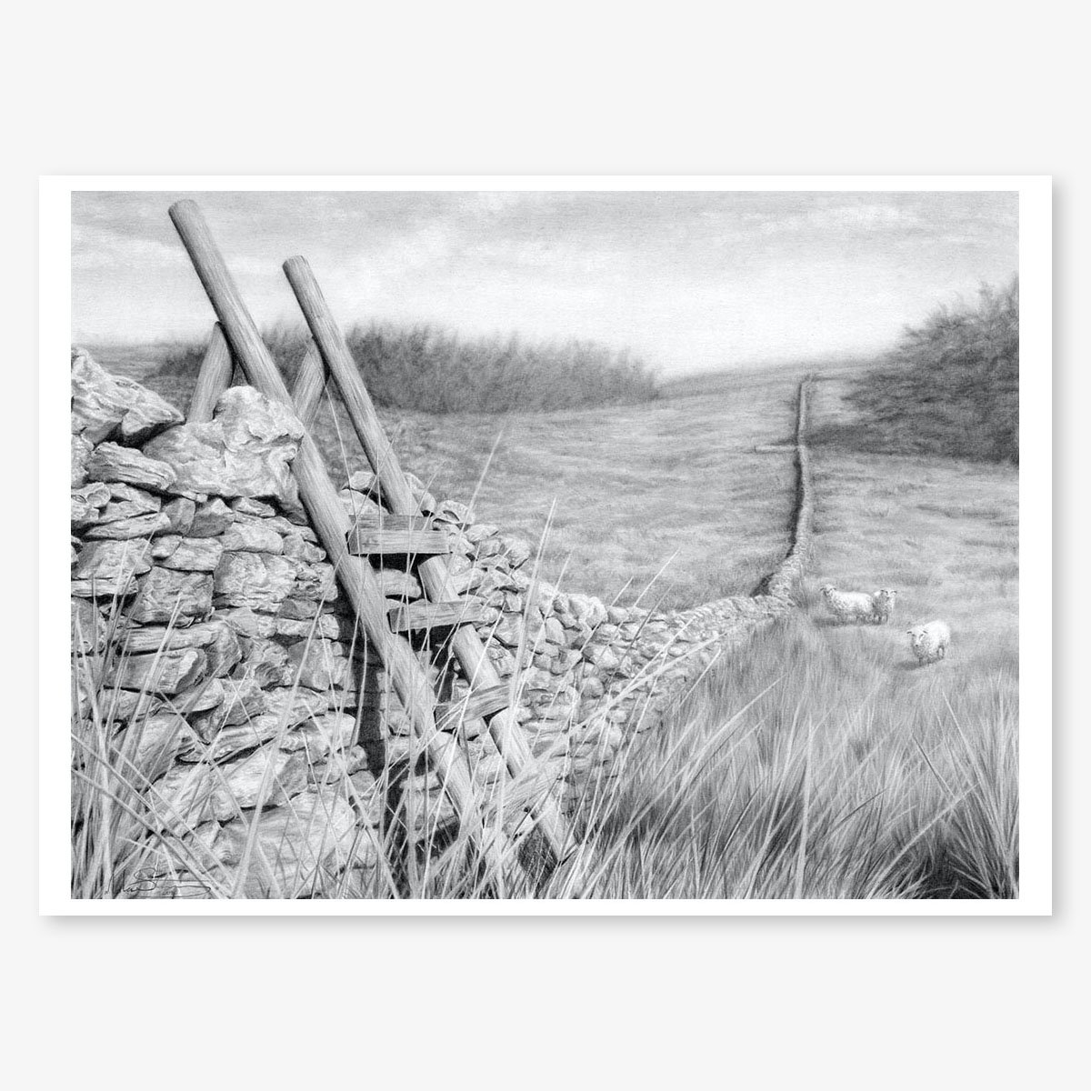 Ladder Stile at Hawes_floating.jpg
