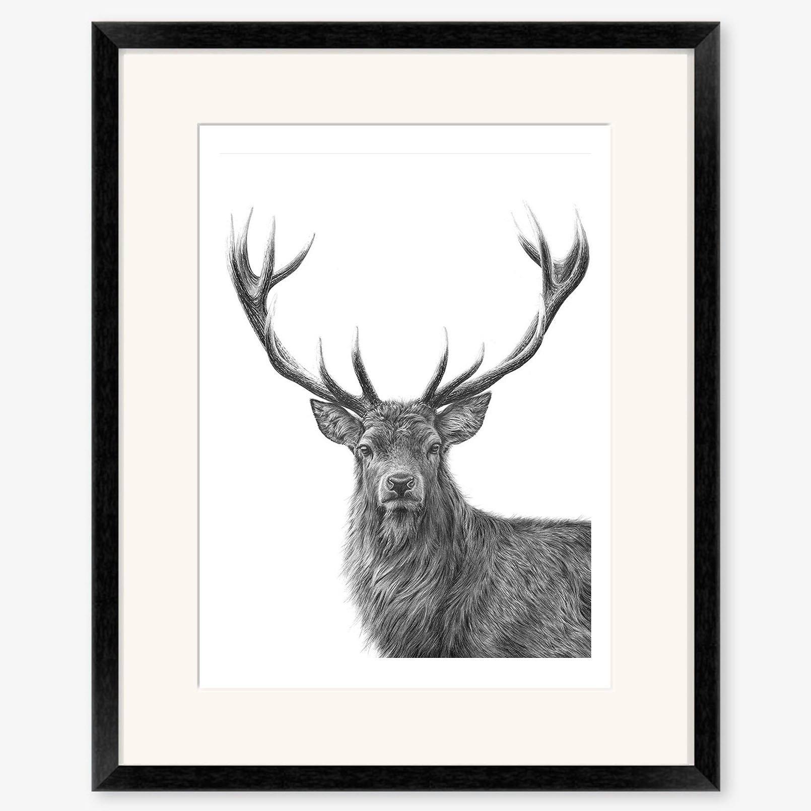 red_stag_II_black.jpg