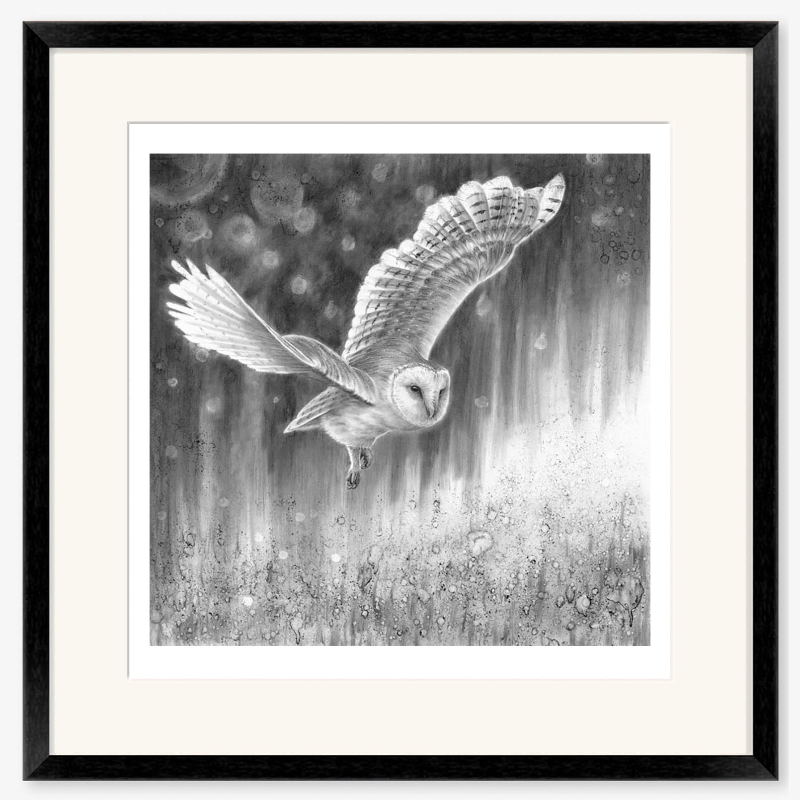 barn_owl_at_night-1_black.jpg