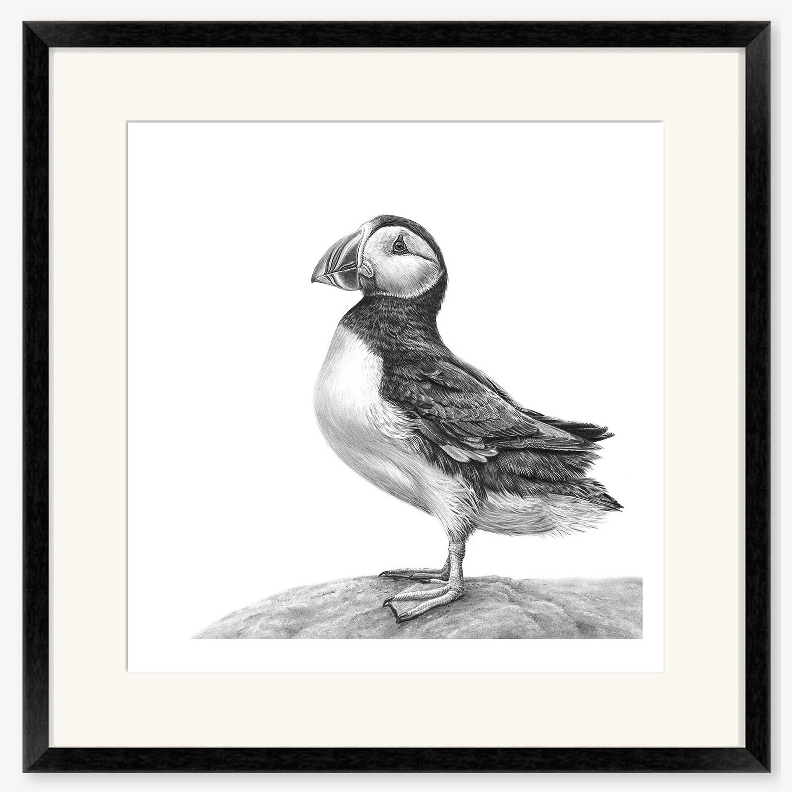 Puffin_black.jpg