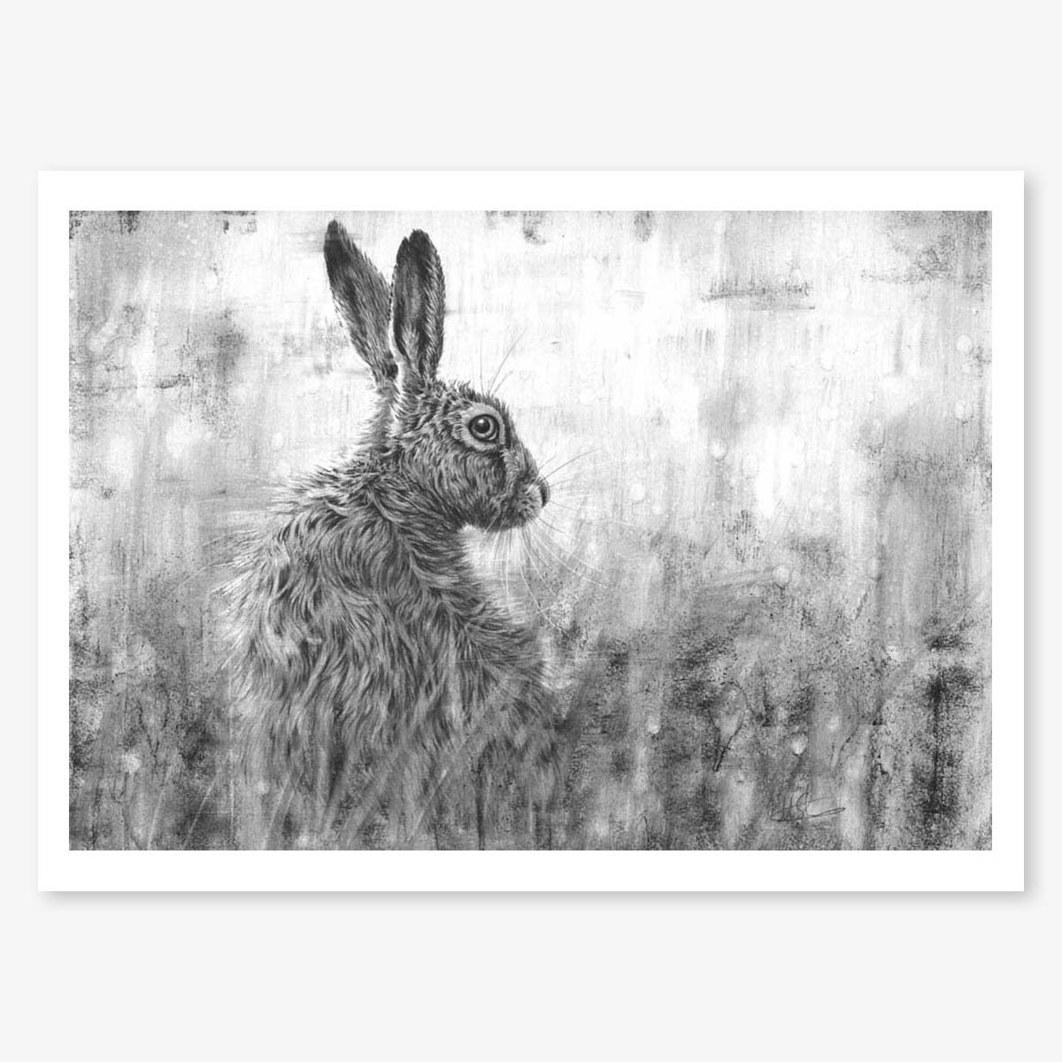 Hare_in_grass_II_floating.jpg