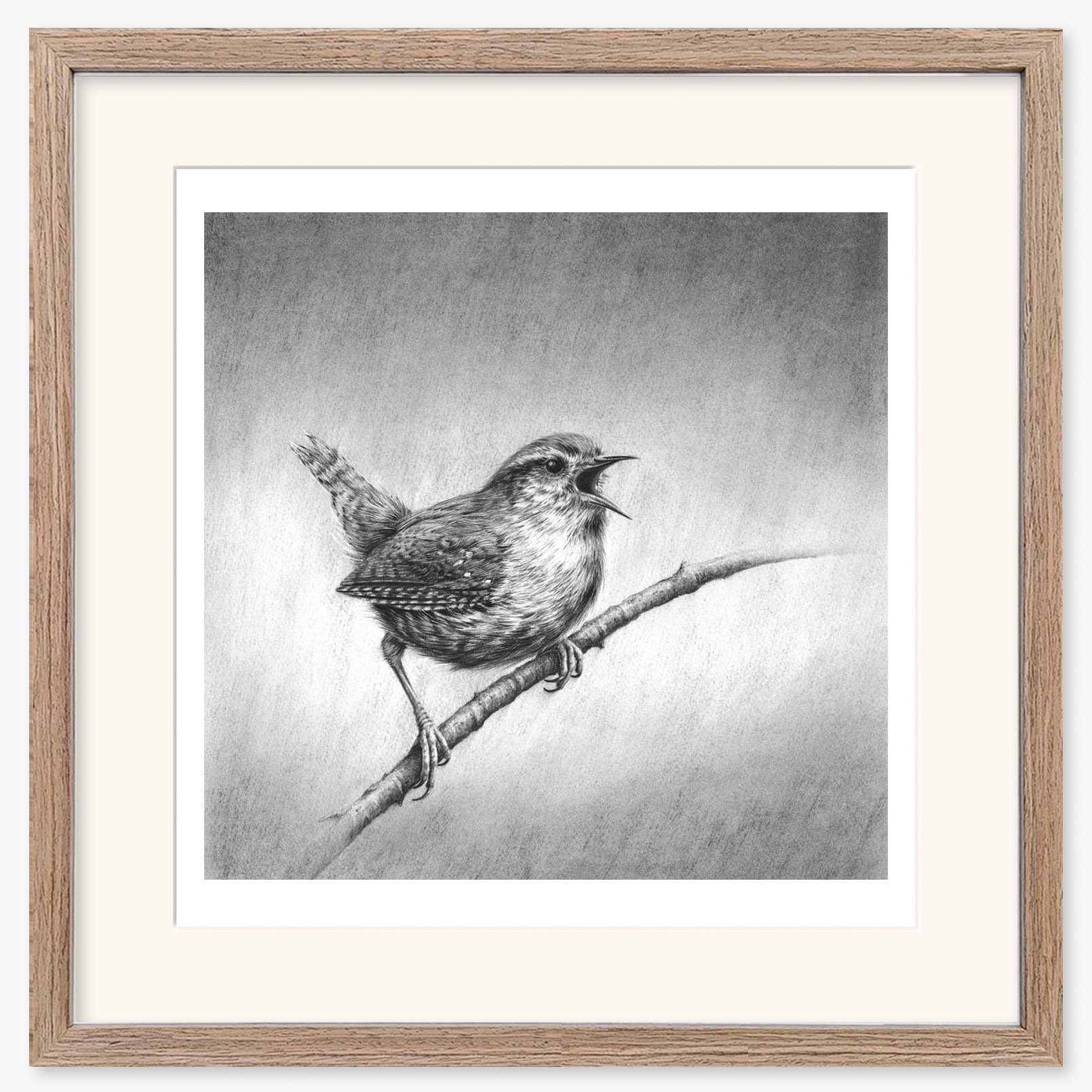 wren_I_walnut.jpg