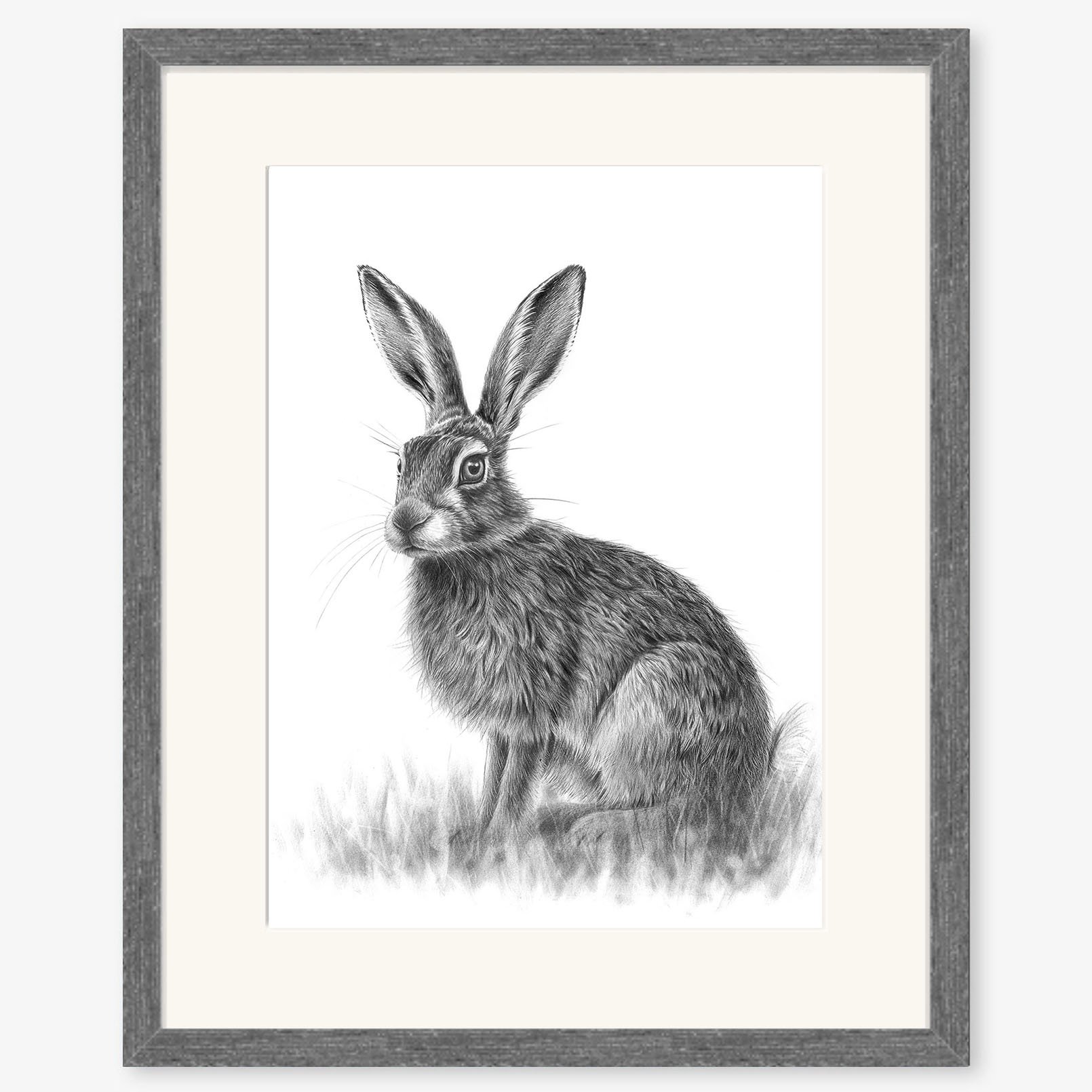 sitting_hare_IV_charcoal.jpg
