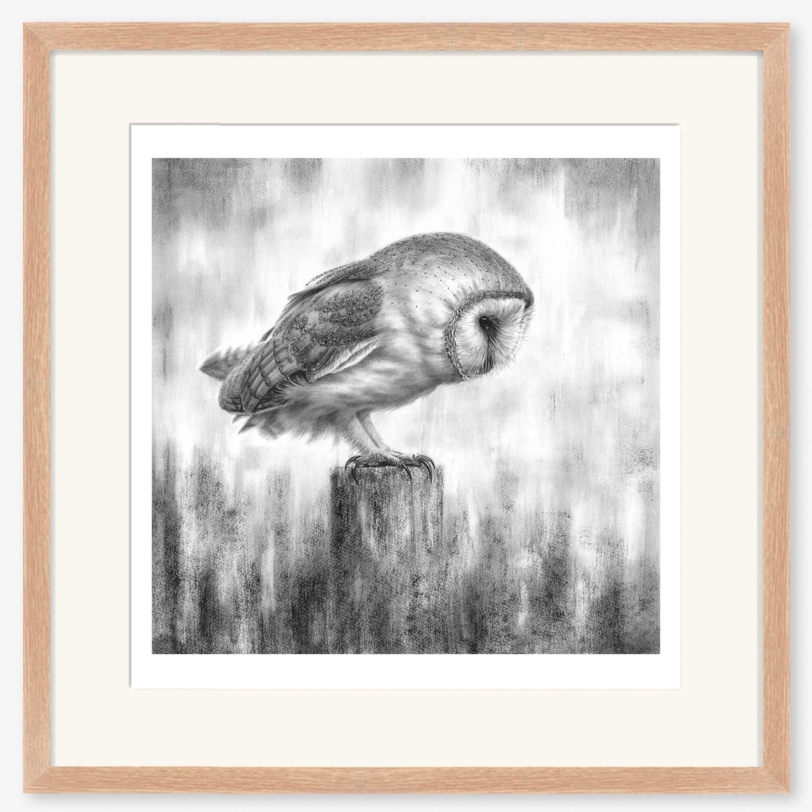 barn-owl-waiting_oak.jpg