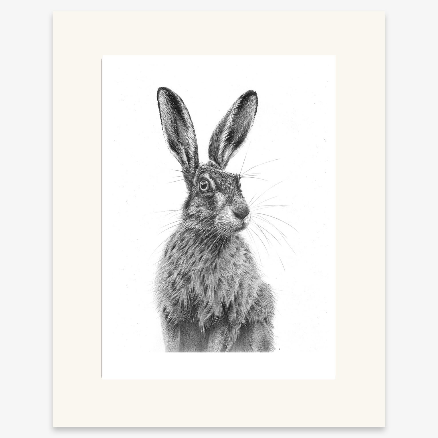 sitting_hare_III_mounted.jpg