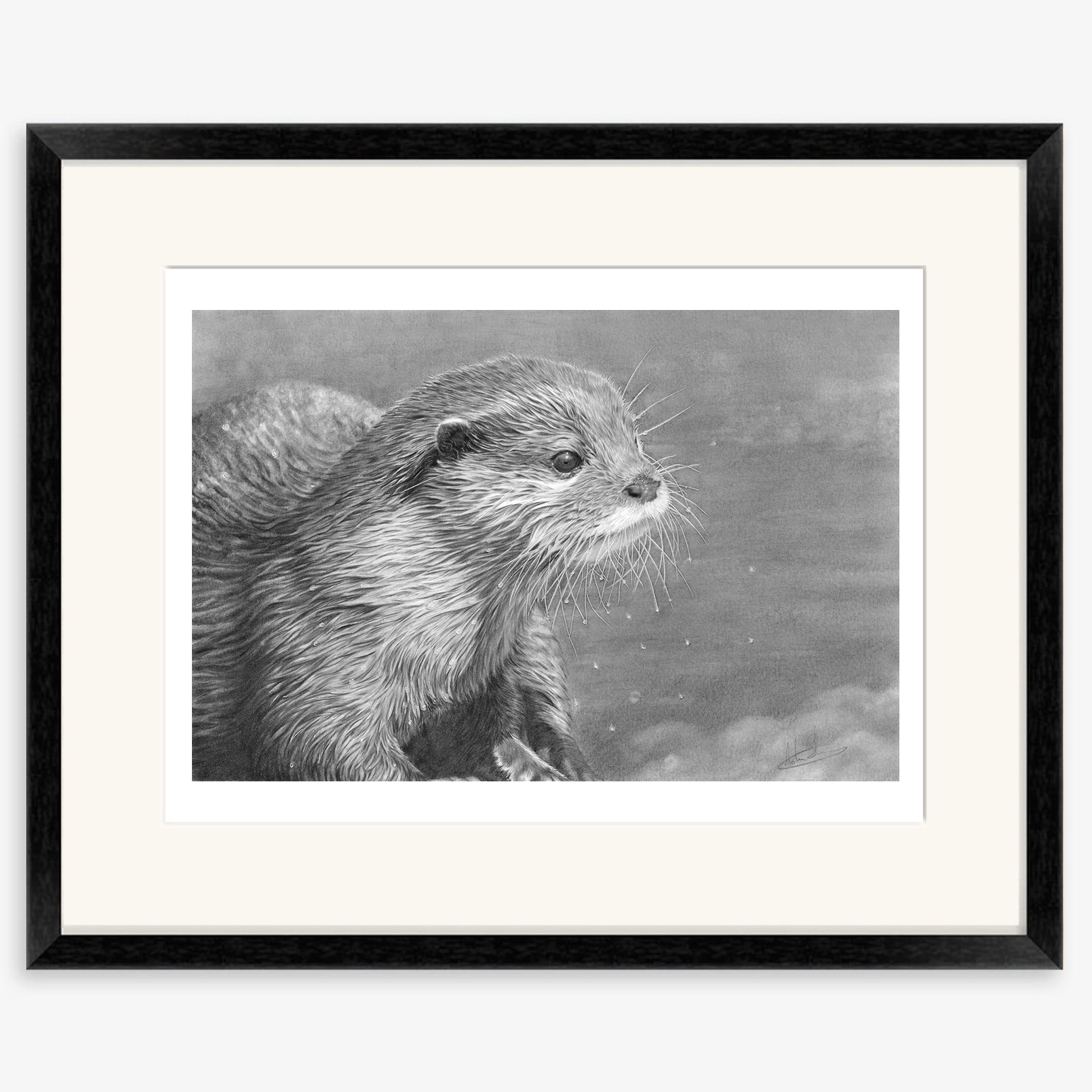 otter_study_black.jpg