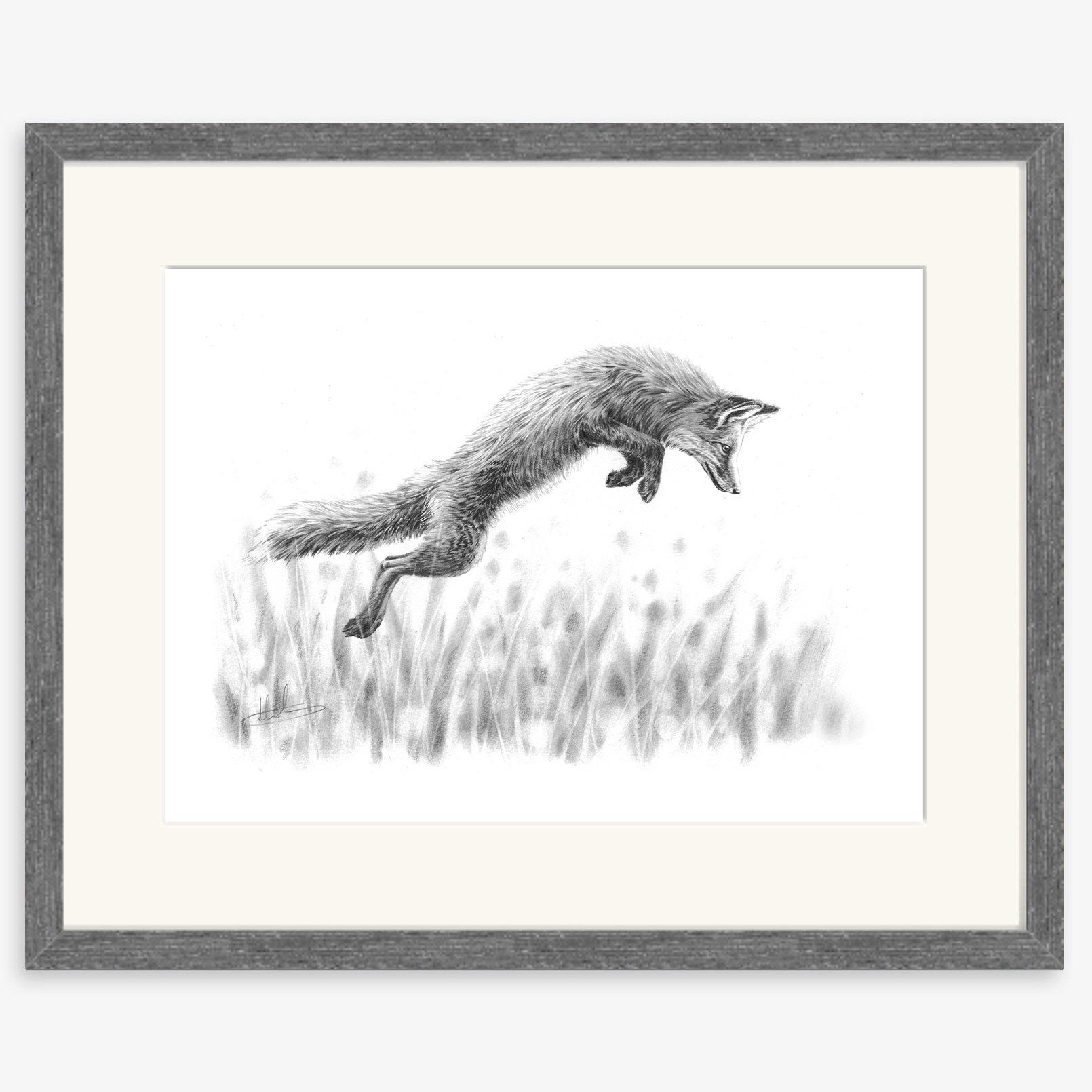 fox_leaping_charcoal.jpg