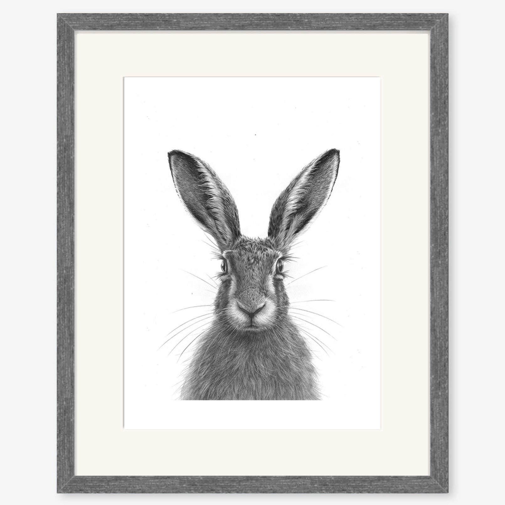 brown_hare_IV_charcoal.jpg