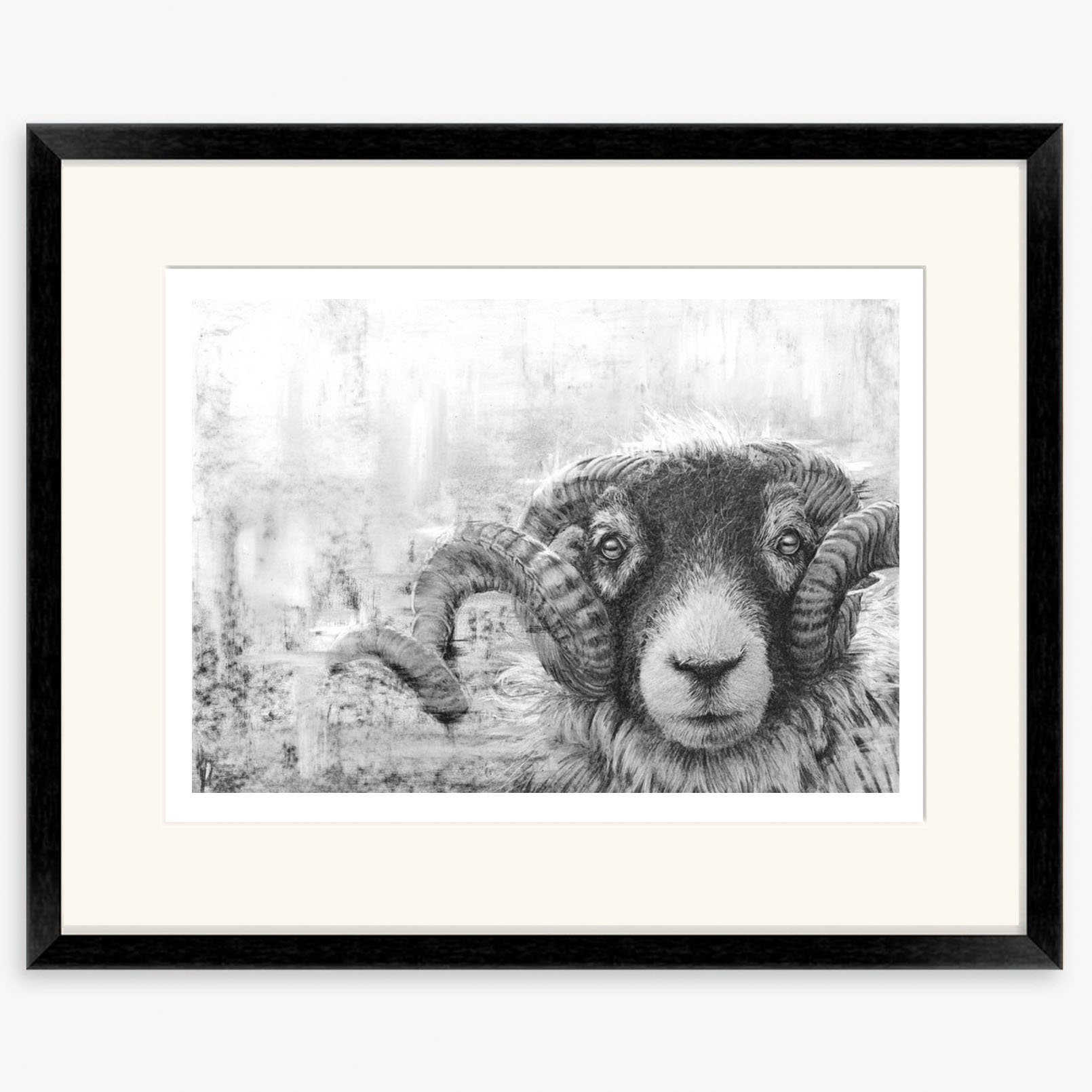 swaledale_tup_II_black.jpg