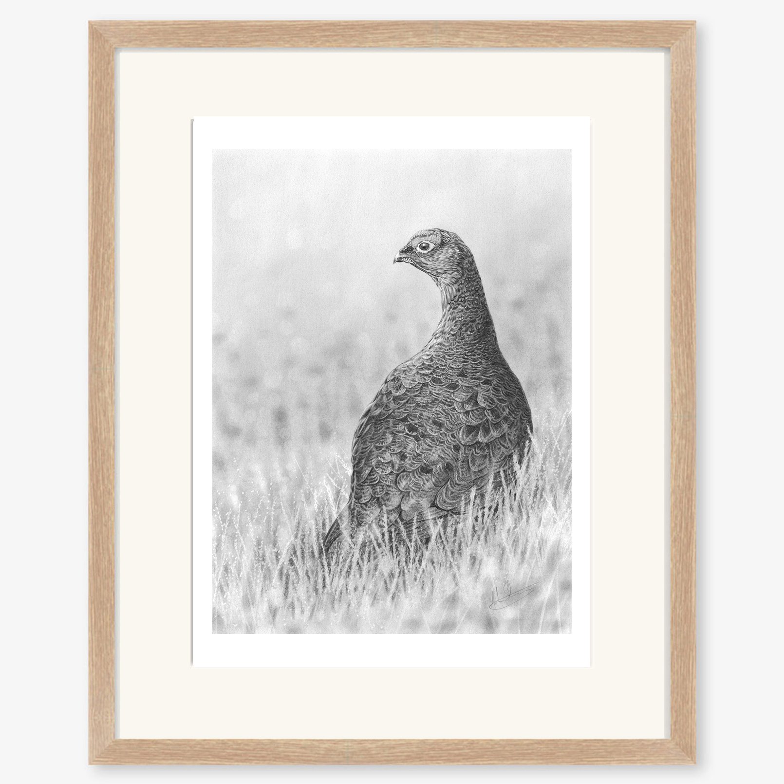 red_grouse_oak.jpg