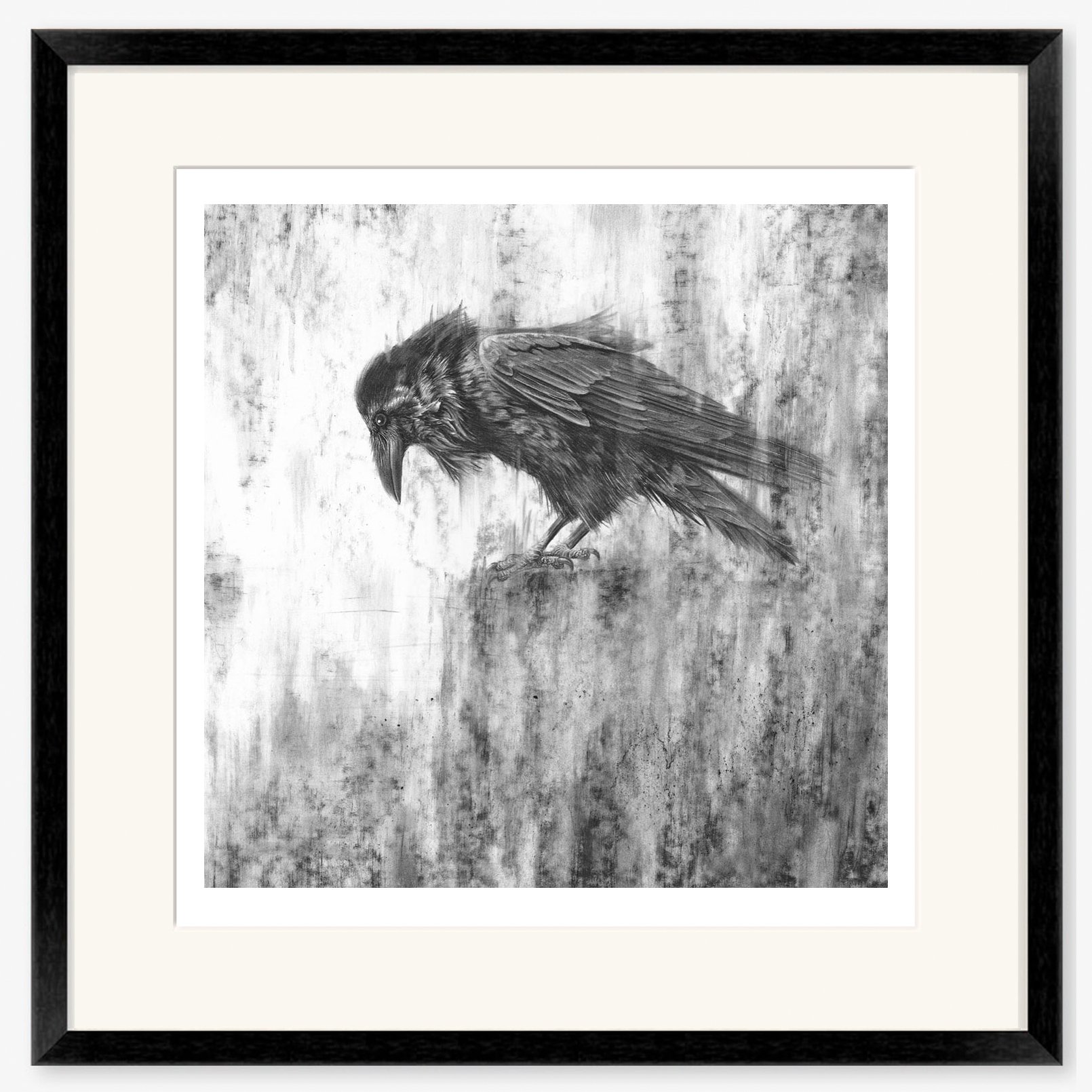 raven_IV_black.jpg
