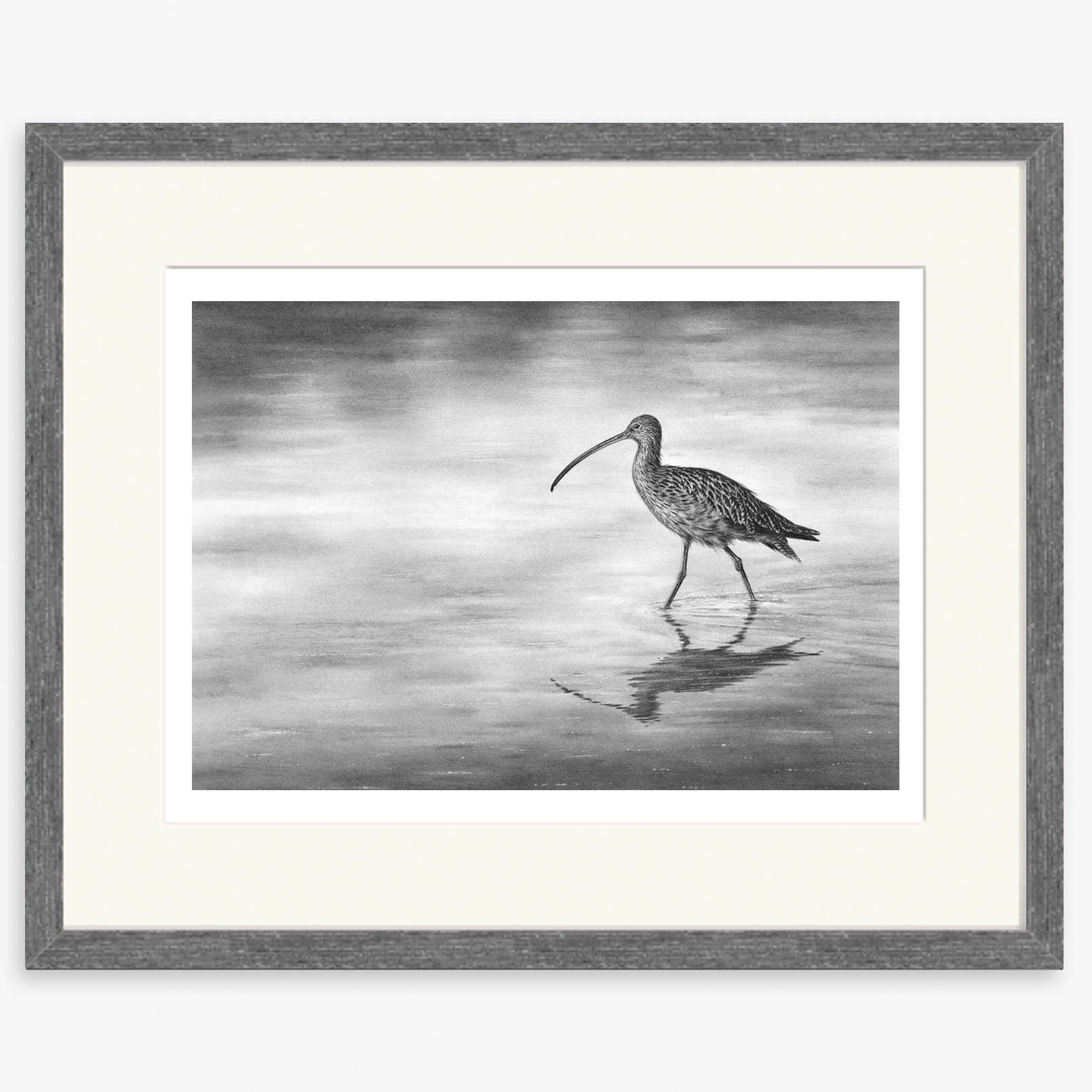 curlew-wading-II_charcoal.jpg