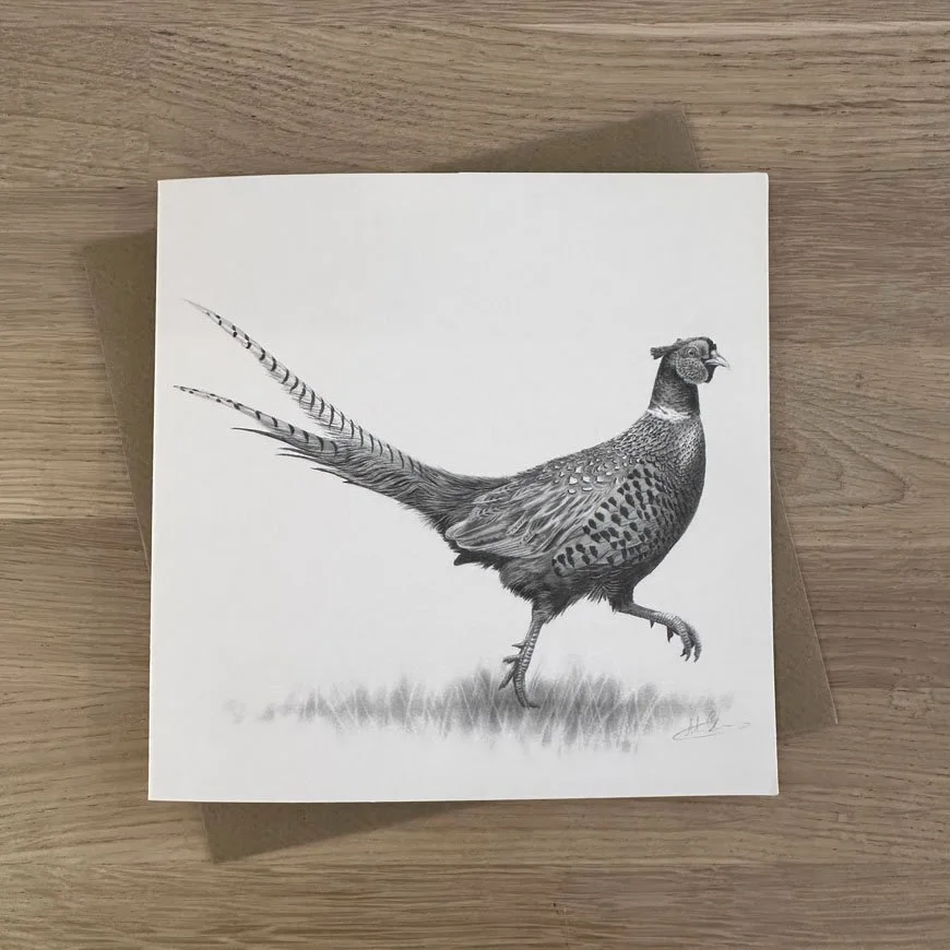 strutting_pheasant.jpg