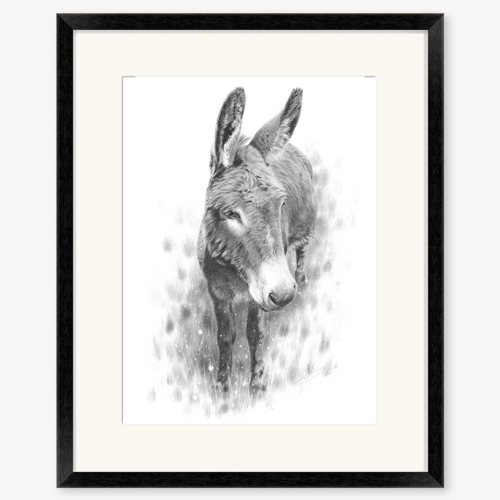 donkey_study_black.jpg
