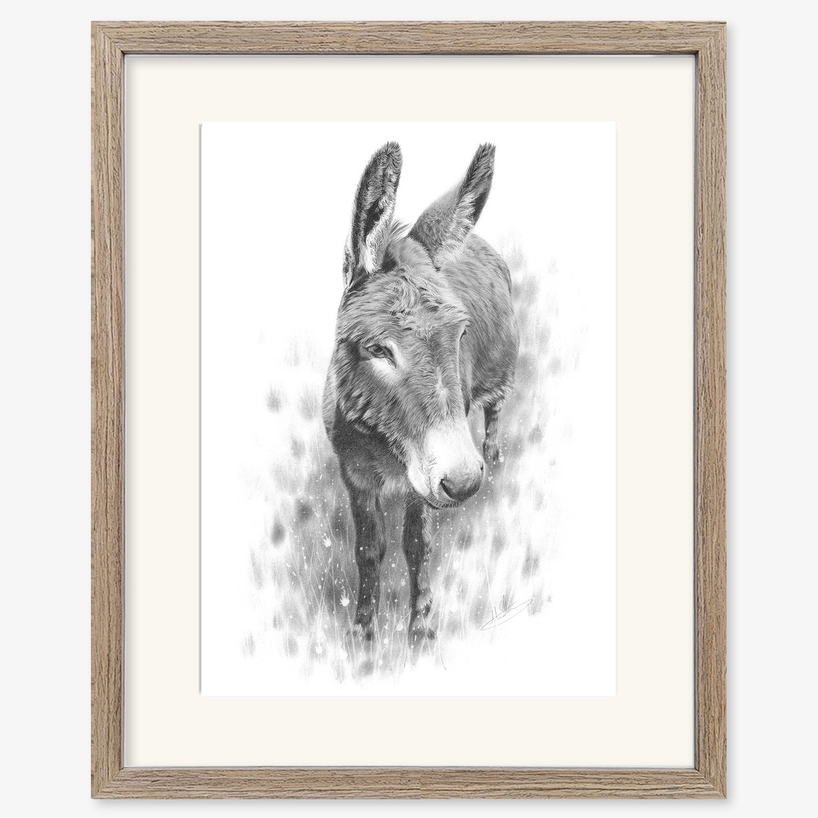 donkey_study_walnut.jpg