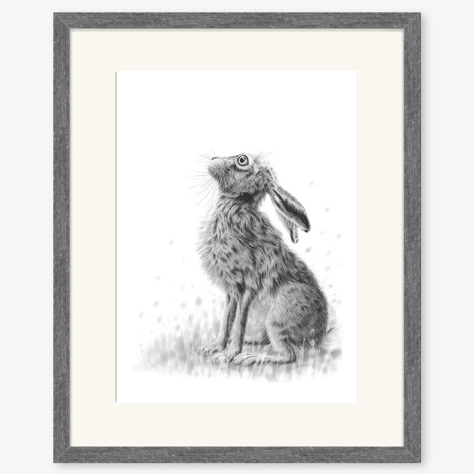 Hare Gazing II_charcoal.jpg