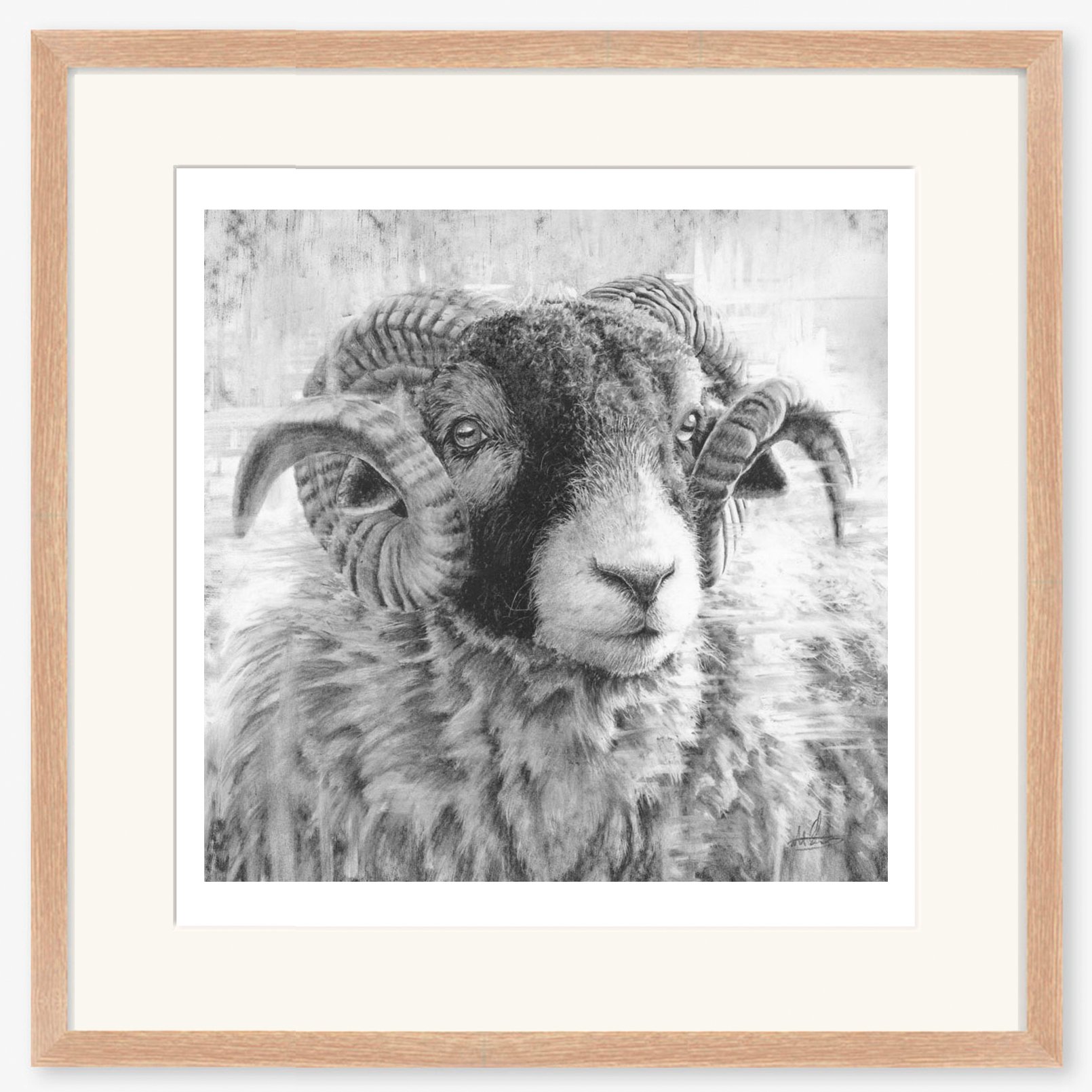 swaledale-tup-iii_oak.jpg