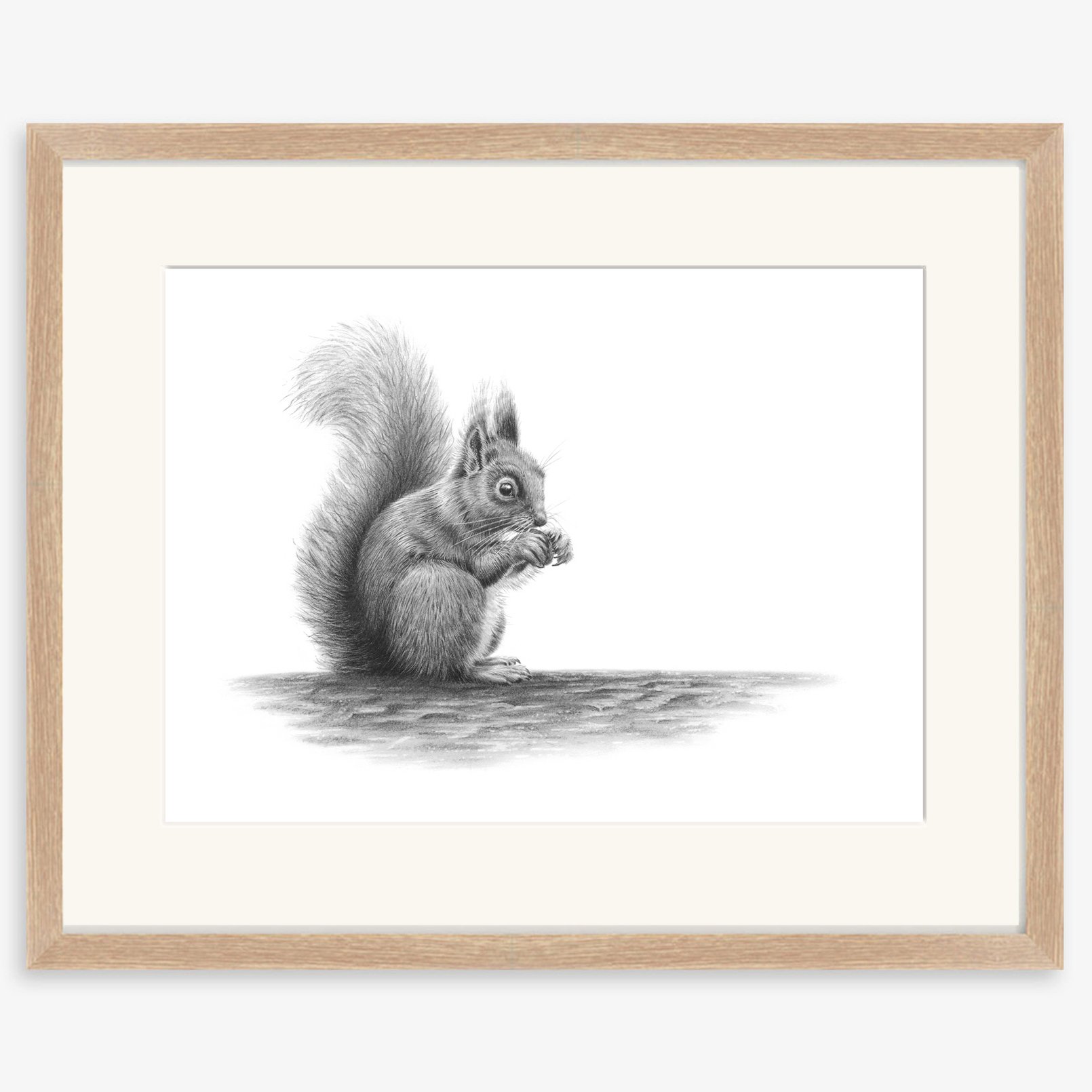 red_squirrel_oak.jpg