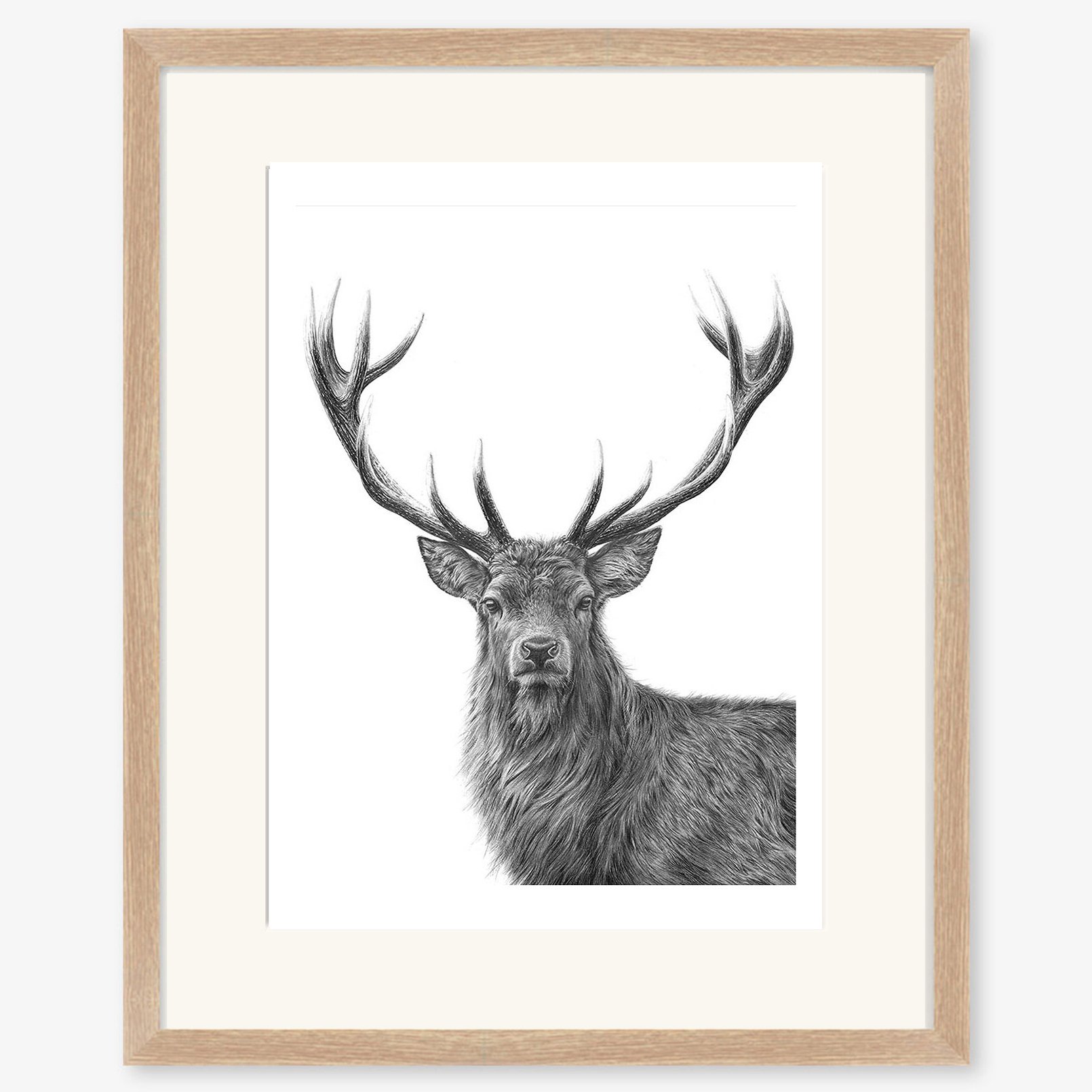red_stag_II_oak.jpg