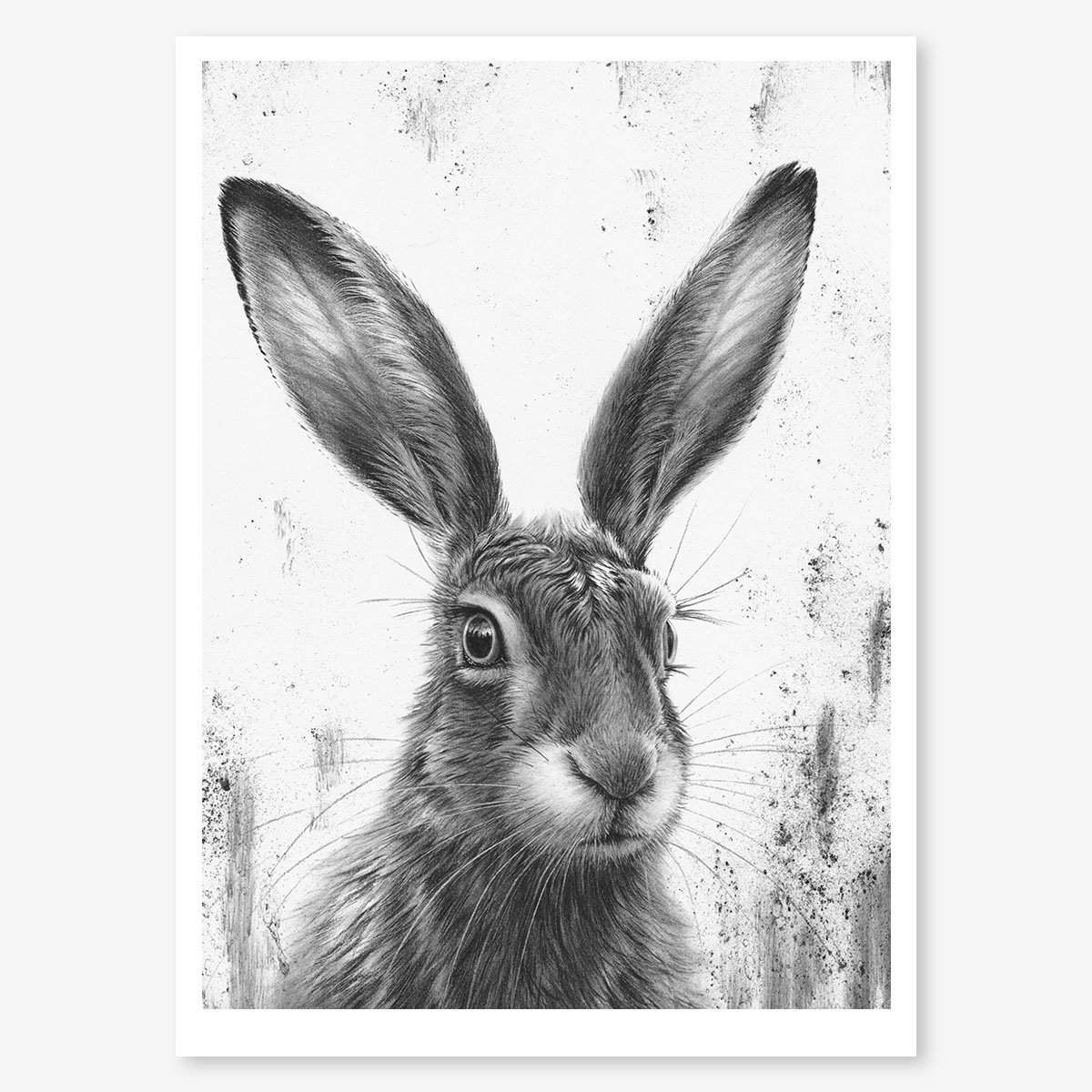 watching_hare_III_p_floating.jpg