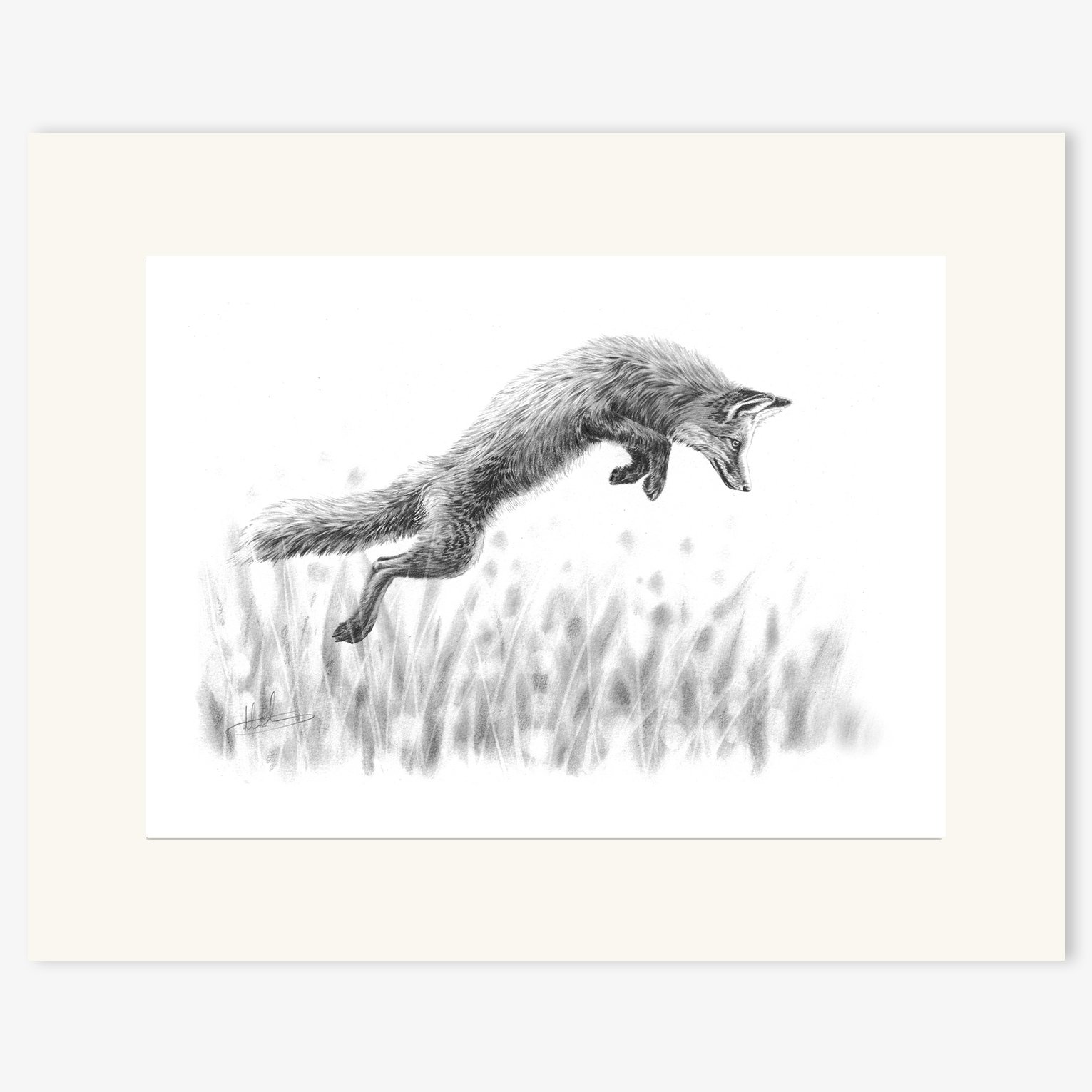 fox_leaping_mounted.jpg