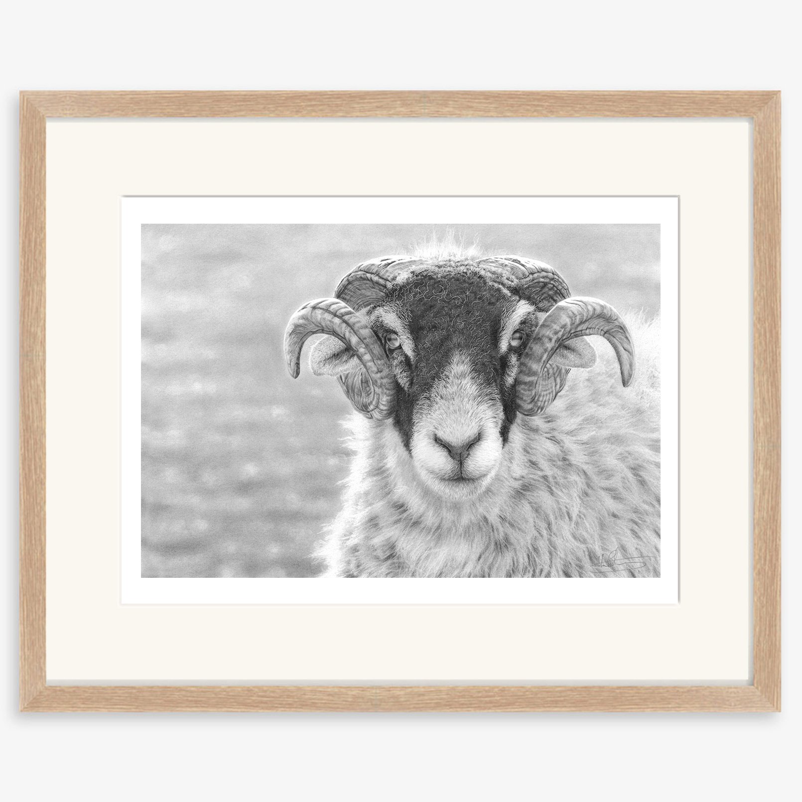 Swaledale_Tup_oak.jpg