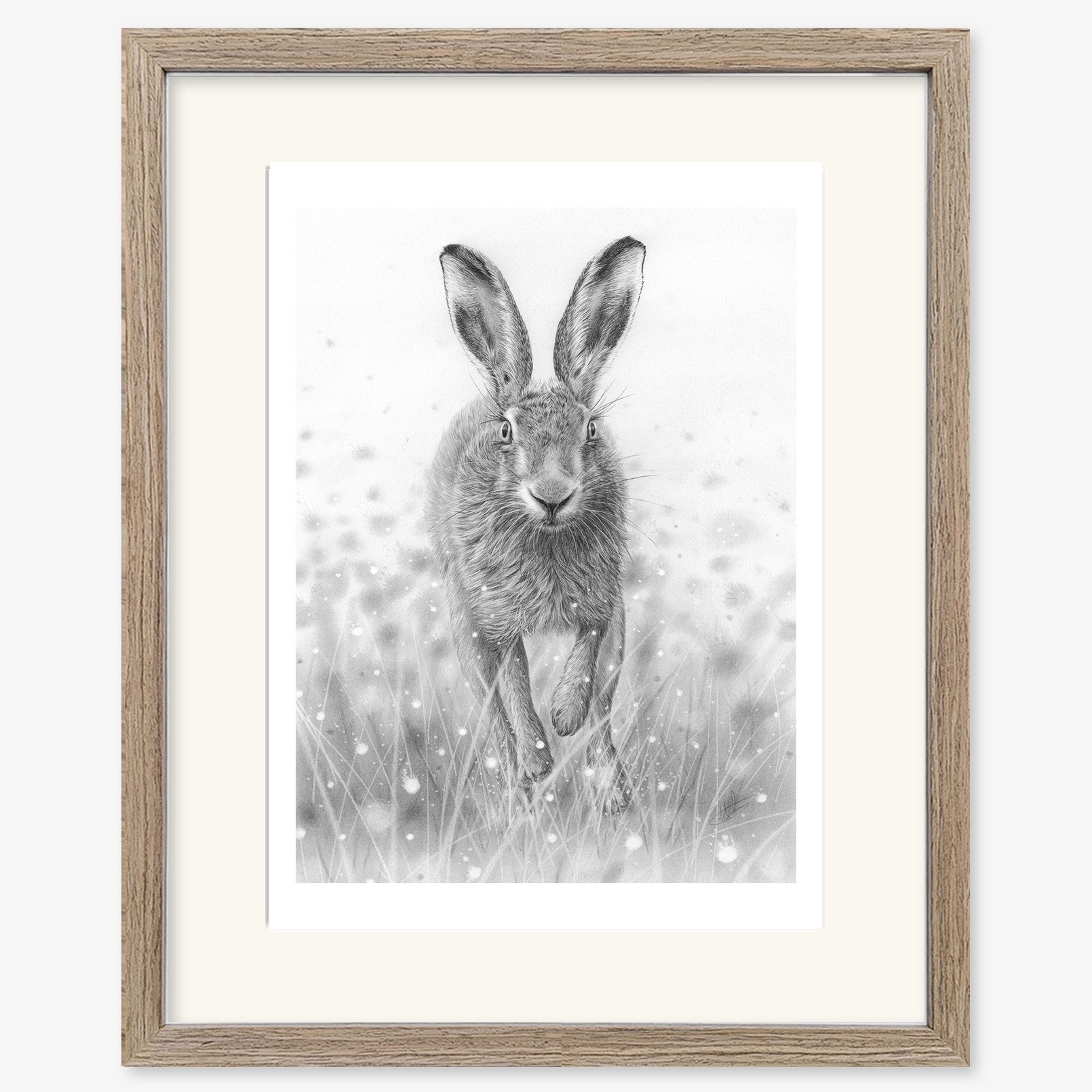 hare_running_walnut.jpg