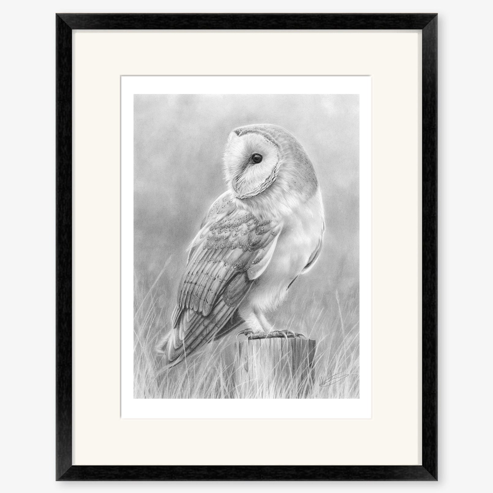 Barn Owl 2_black.jpg