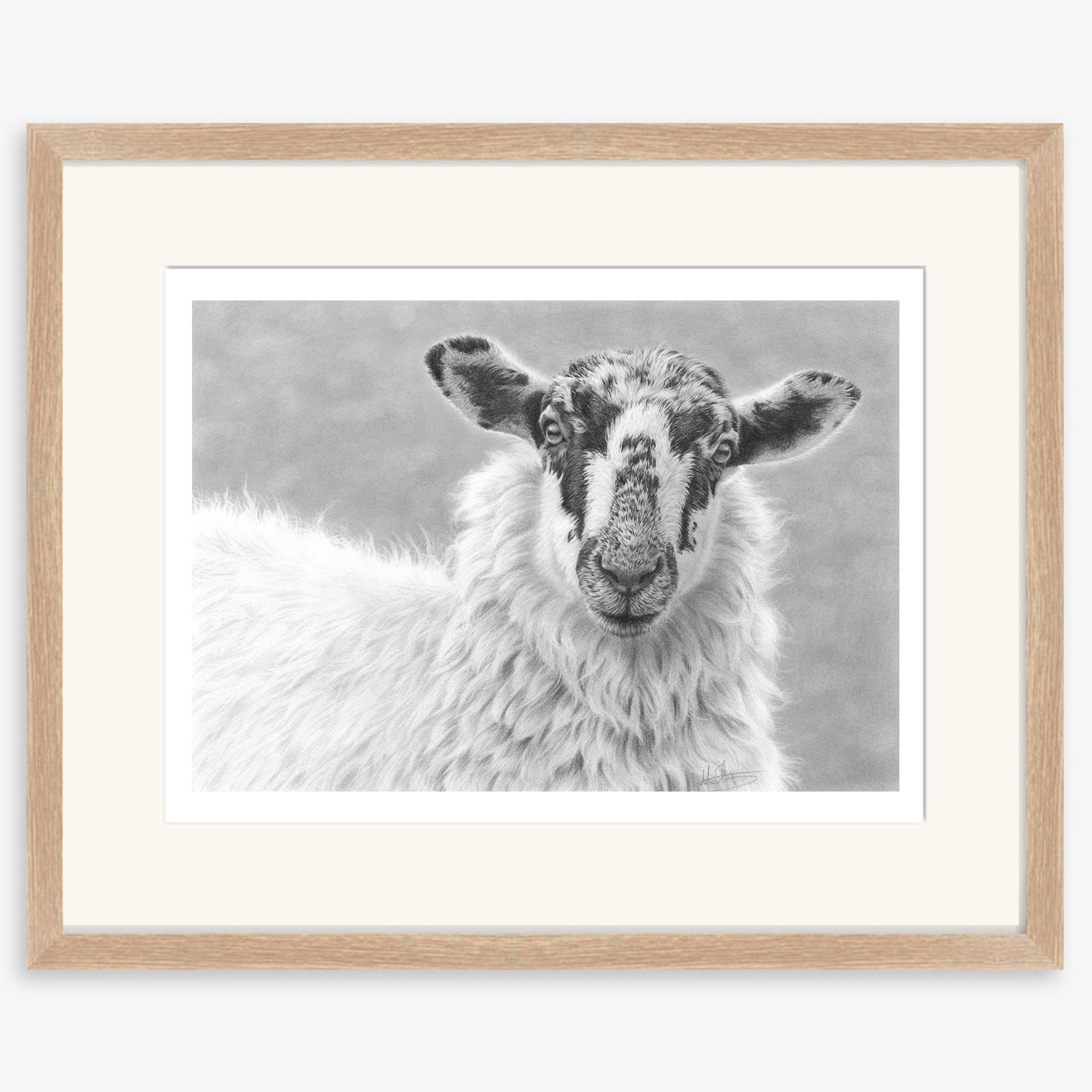 Mule_portrait_sheep_oak.jpg
