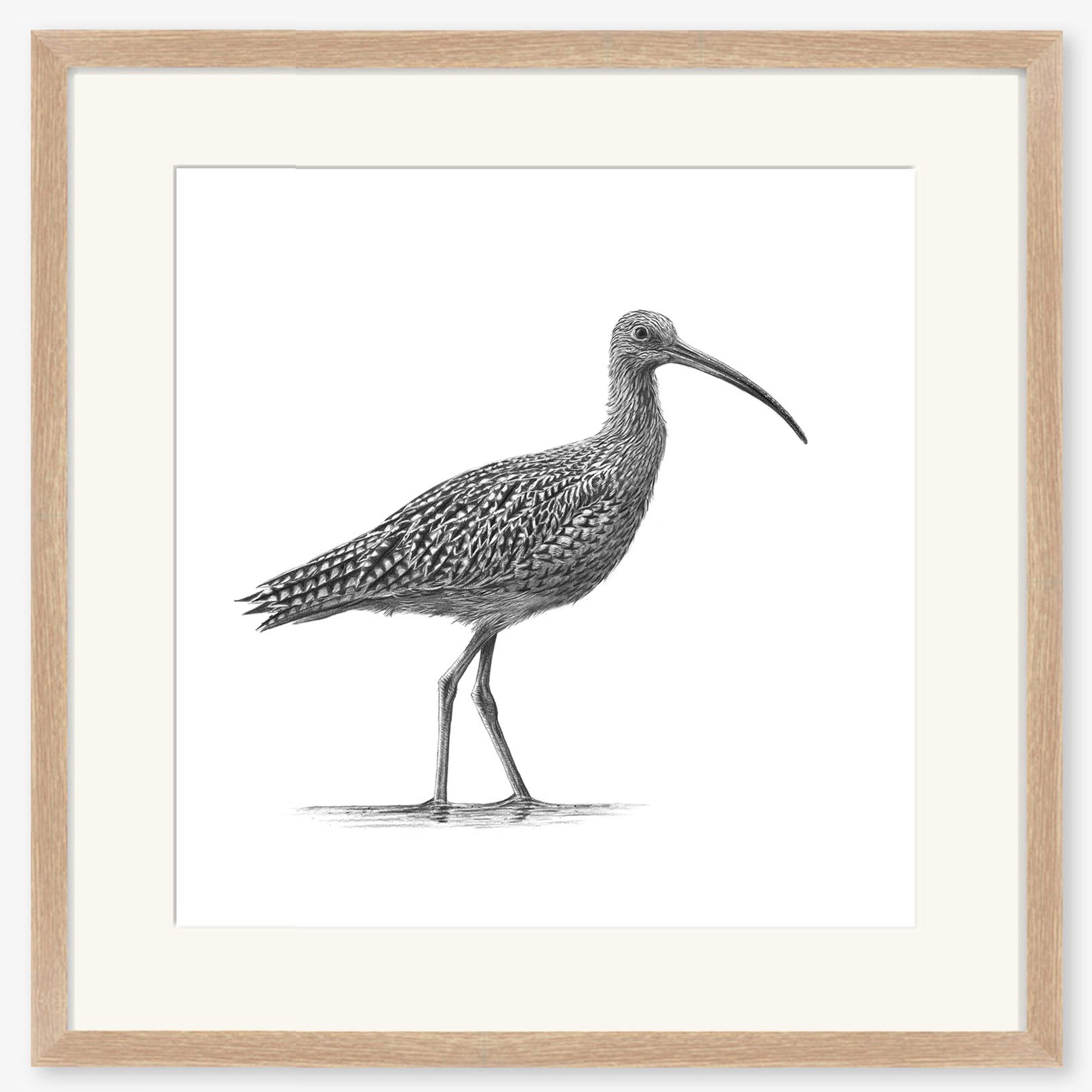 Curlew_II_oak.jpg
