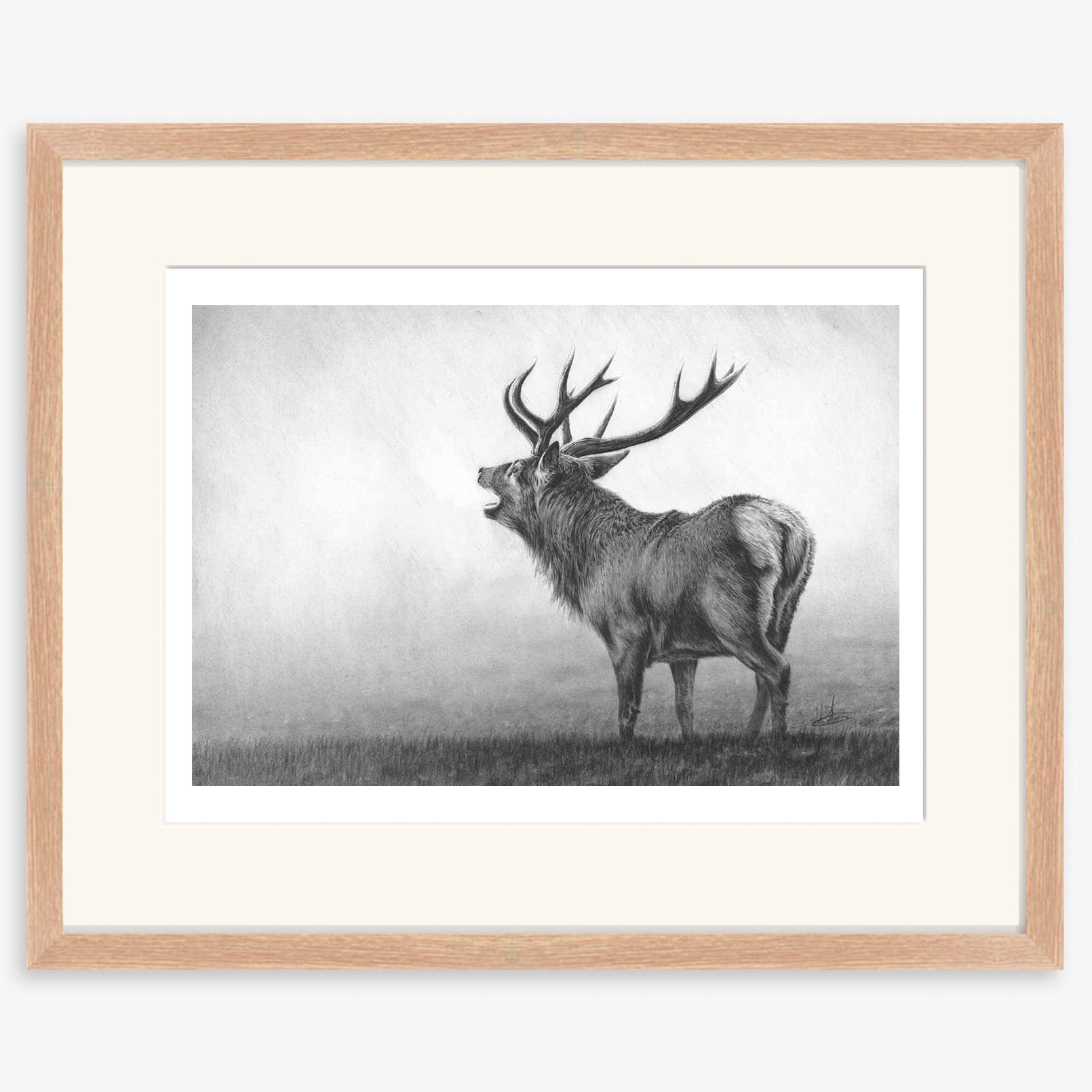 roaring_stag_II_oak.jpg