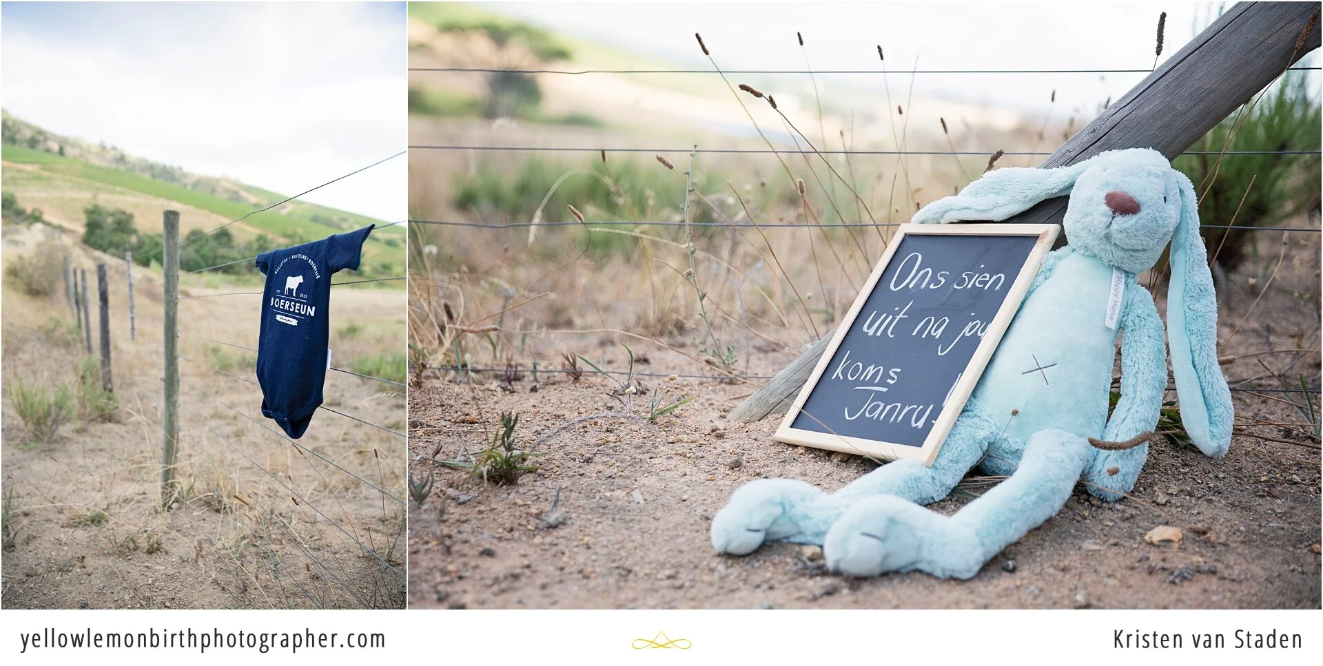 sunset stellenbosch wine farm maternity photos_0003.jpg