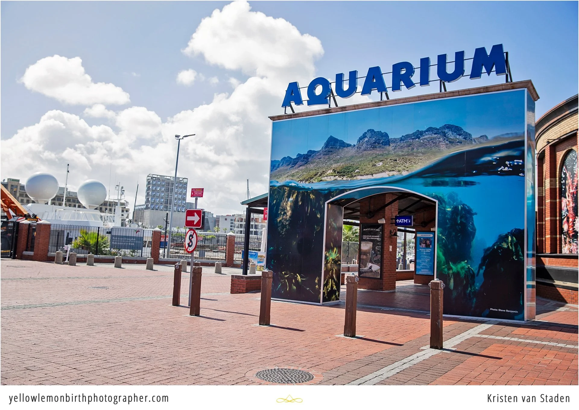 under the sea two oceans aquarium birthday party_001.jpg