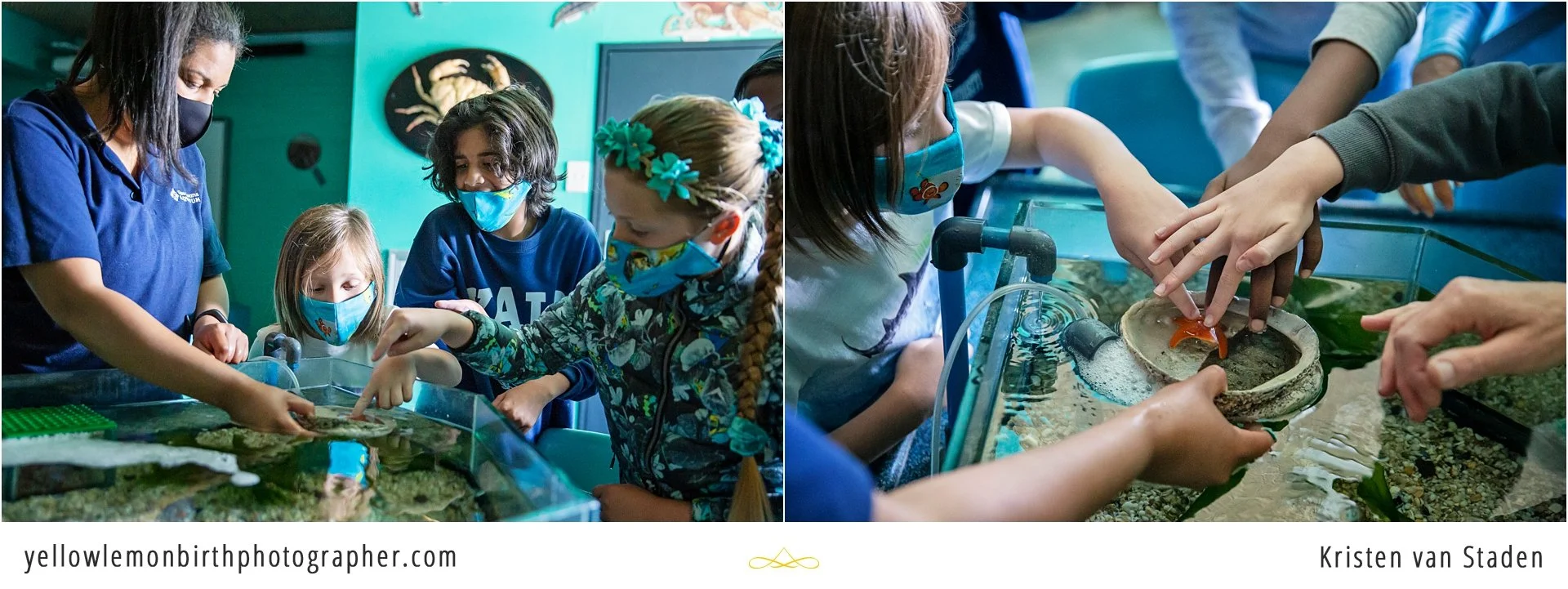 under the sea two oceans aquarium birthday party_004.jpg