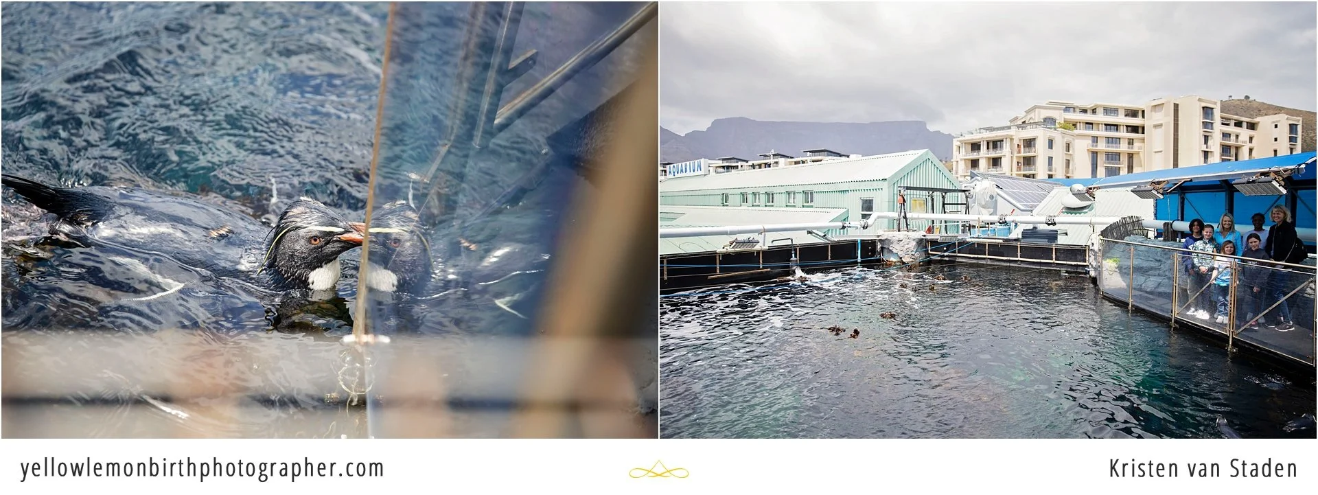 under the sea two oceans aquarium birthday party_011.jpg