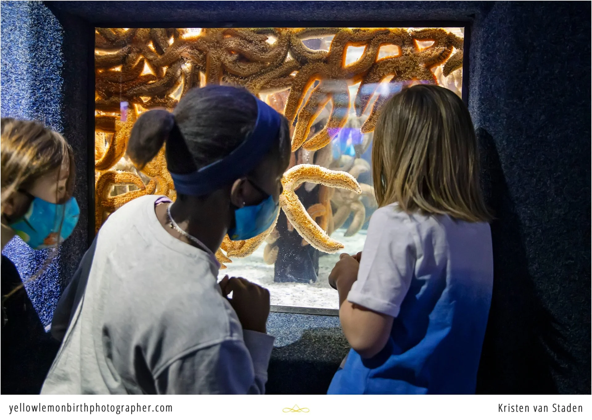 under the sea two oceans aquarium birthday party_013.jpg
