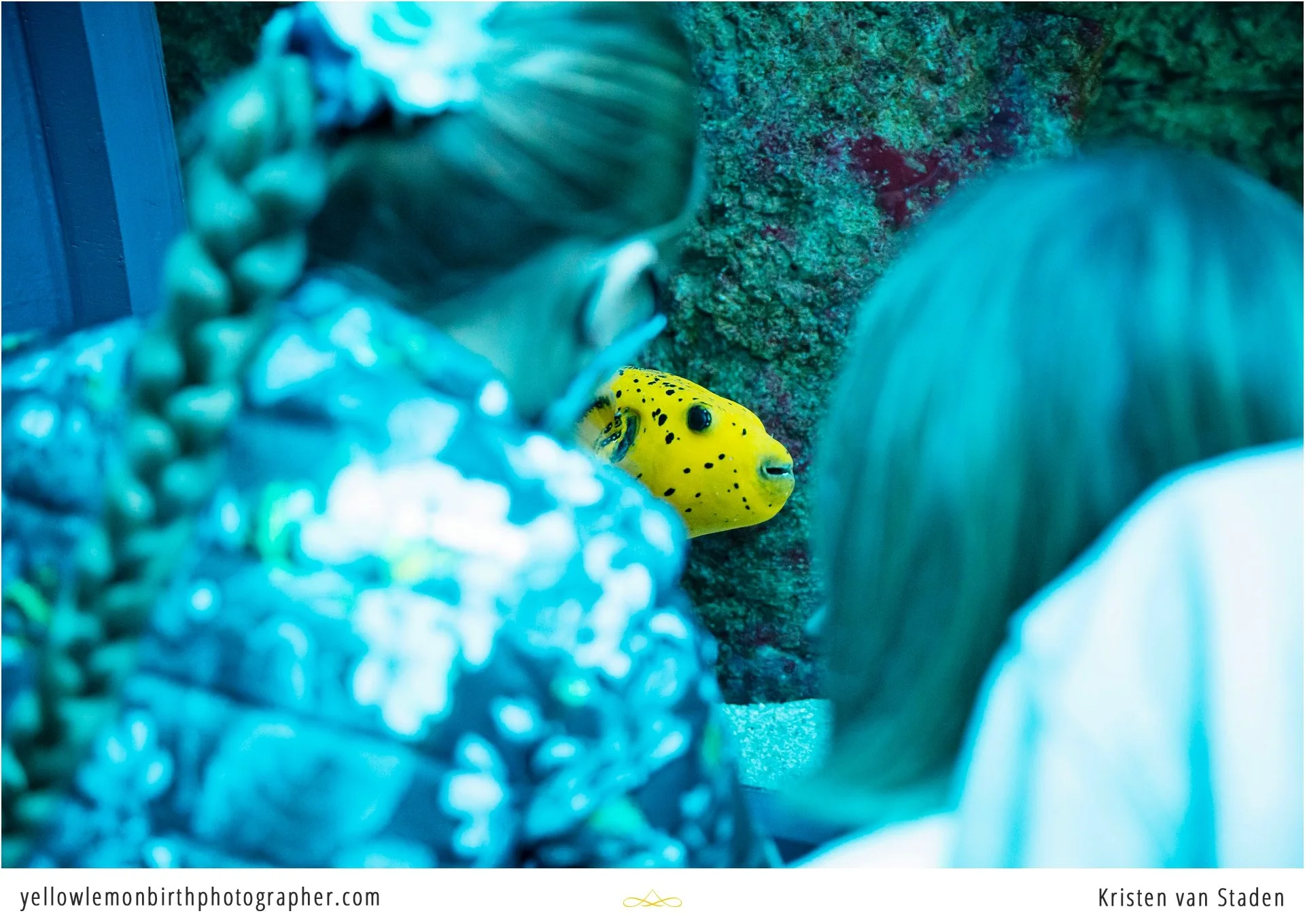 under the sea two oceans aquarium birthday party_016.jpg